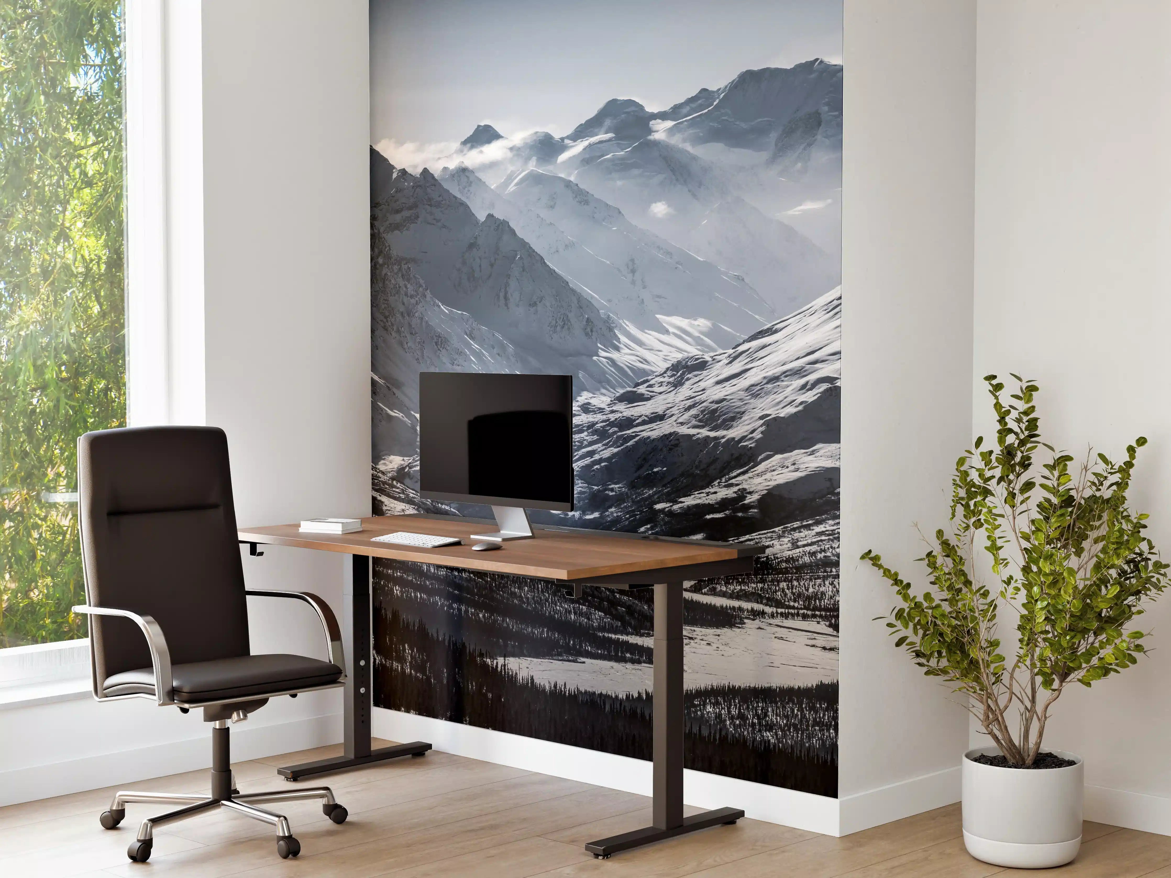 Büro Wandgestaltung - Alaskas Bergwelt in Weiß-Grau