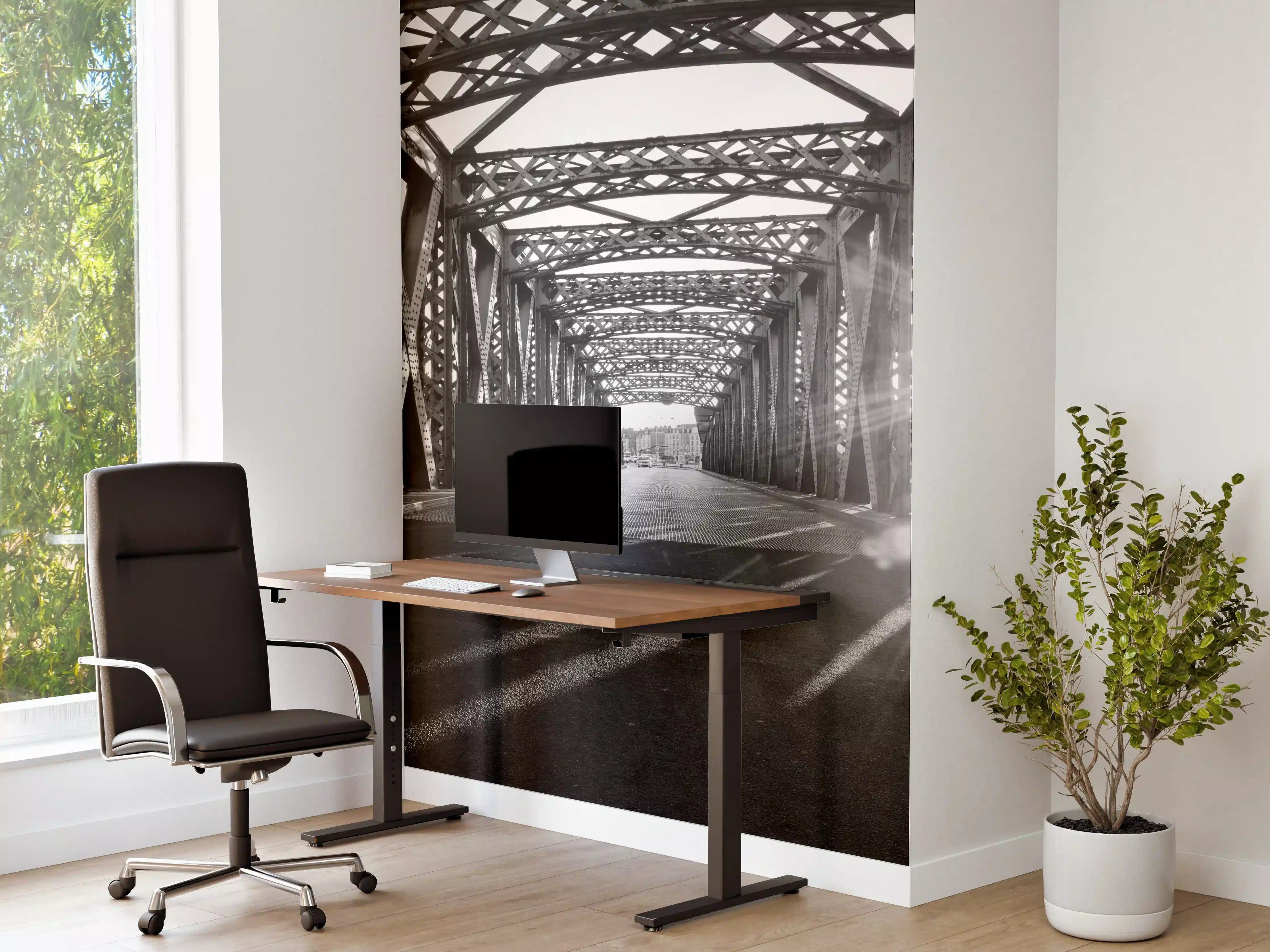 Büro Wandgestaltung - Alte Stadtbrücke