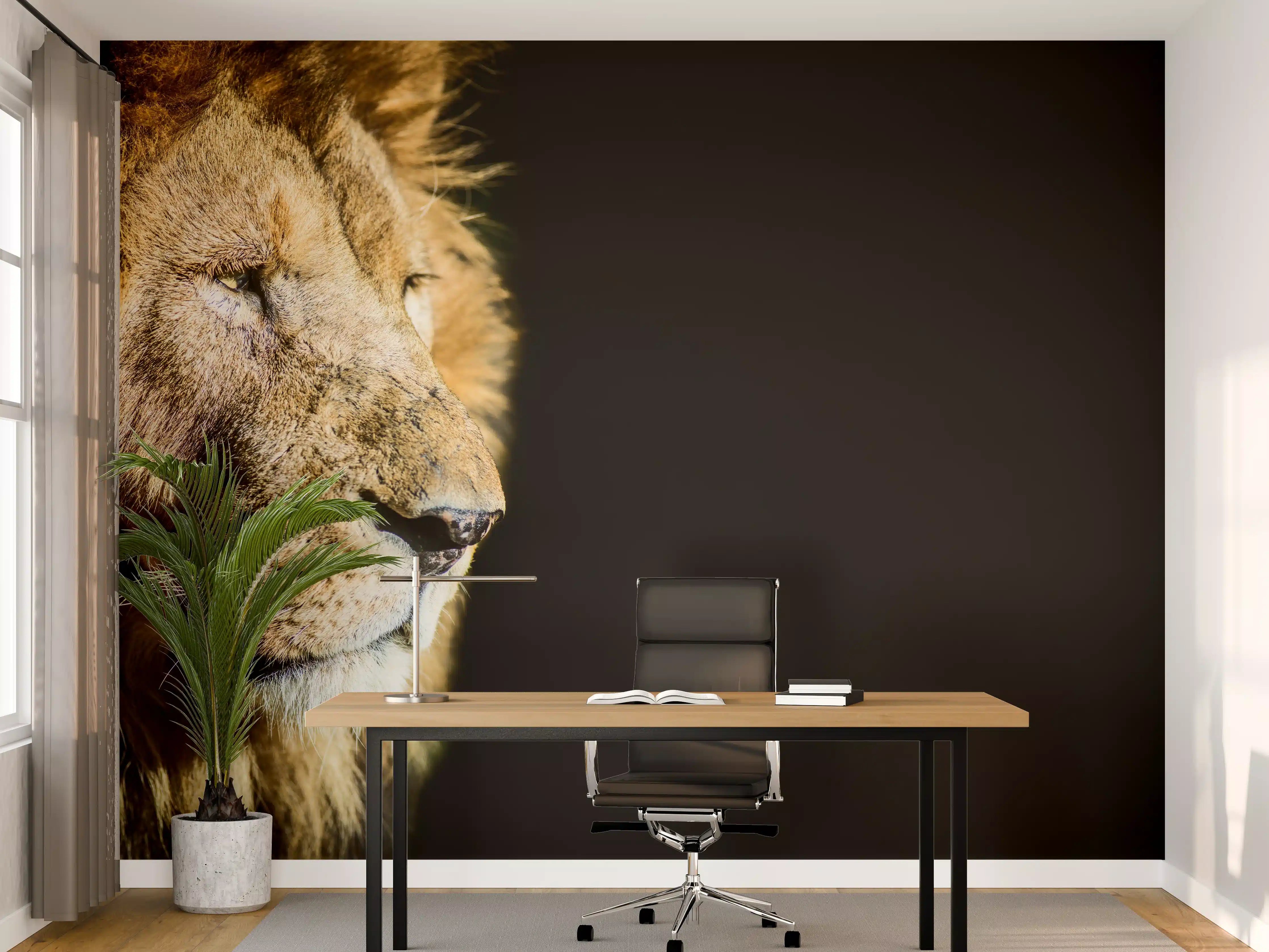 Büro Wandgestaltung - Alter Löwe auf schwarzem Hintergrund