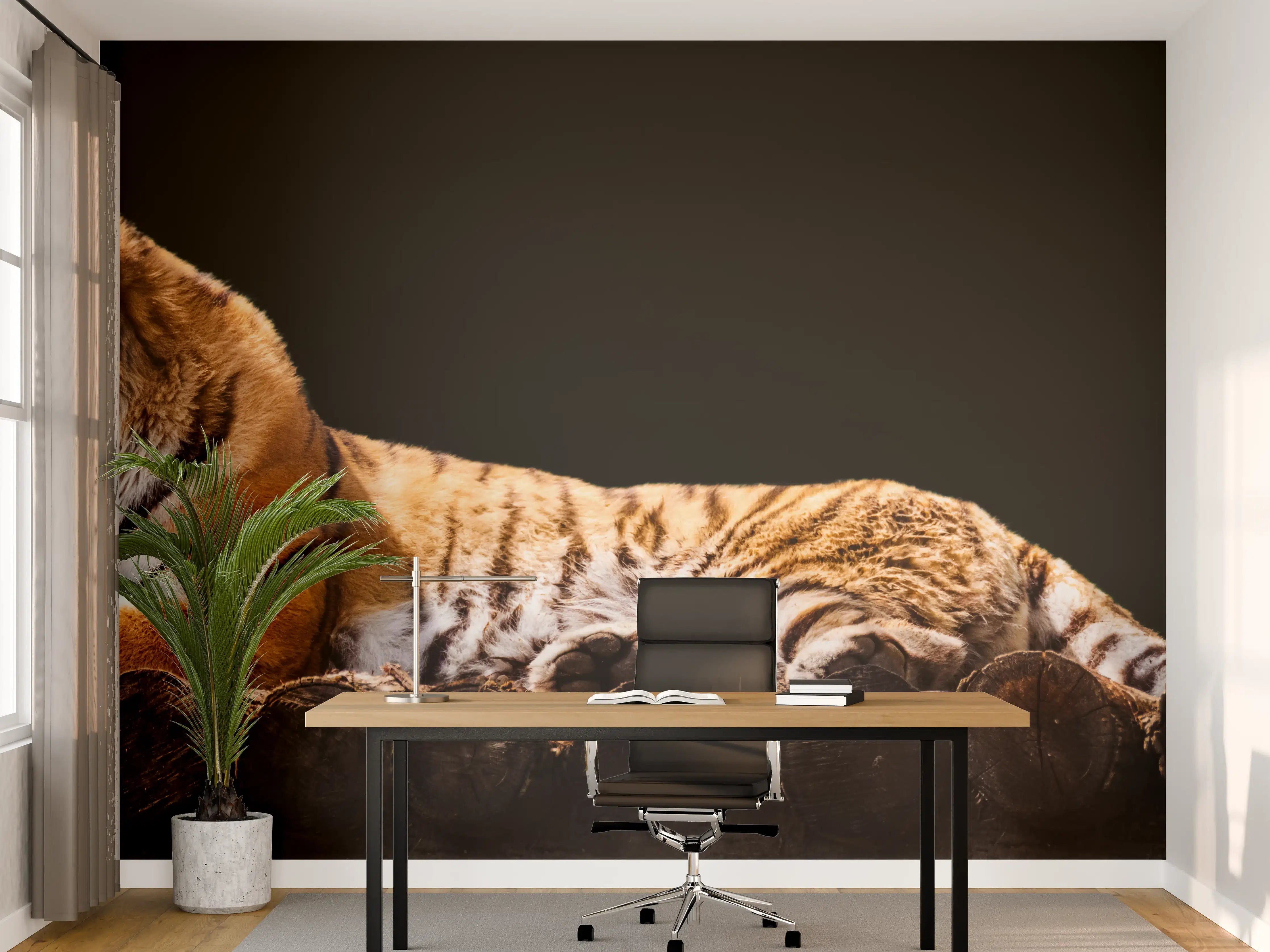 Büro Wandgestaltung - Amurtiger liegend auf Holzdeck mit Schwarzem Hintergrund