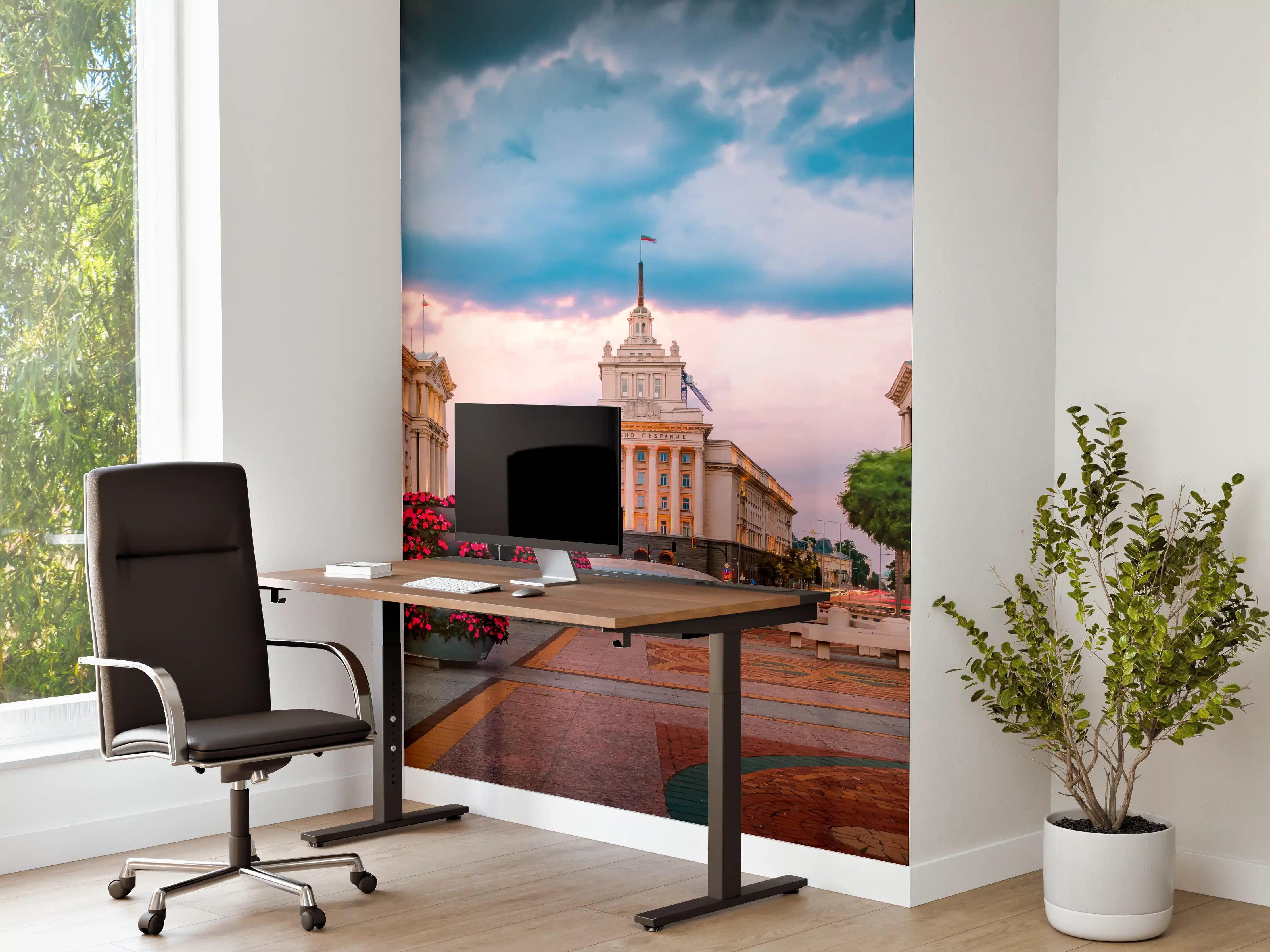 Büro Wandgestaltung - Aussicht auf das Stadtzentrum von Sofia