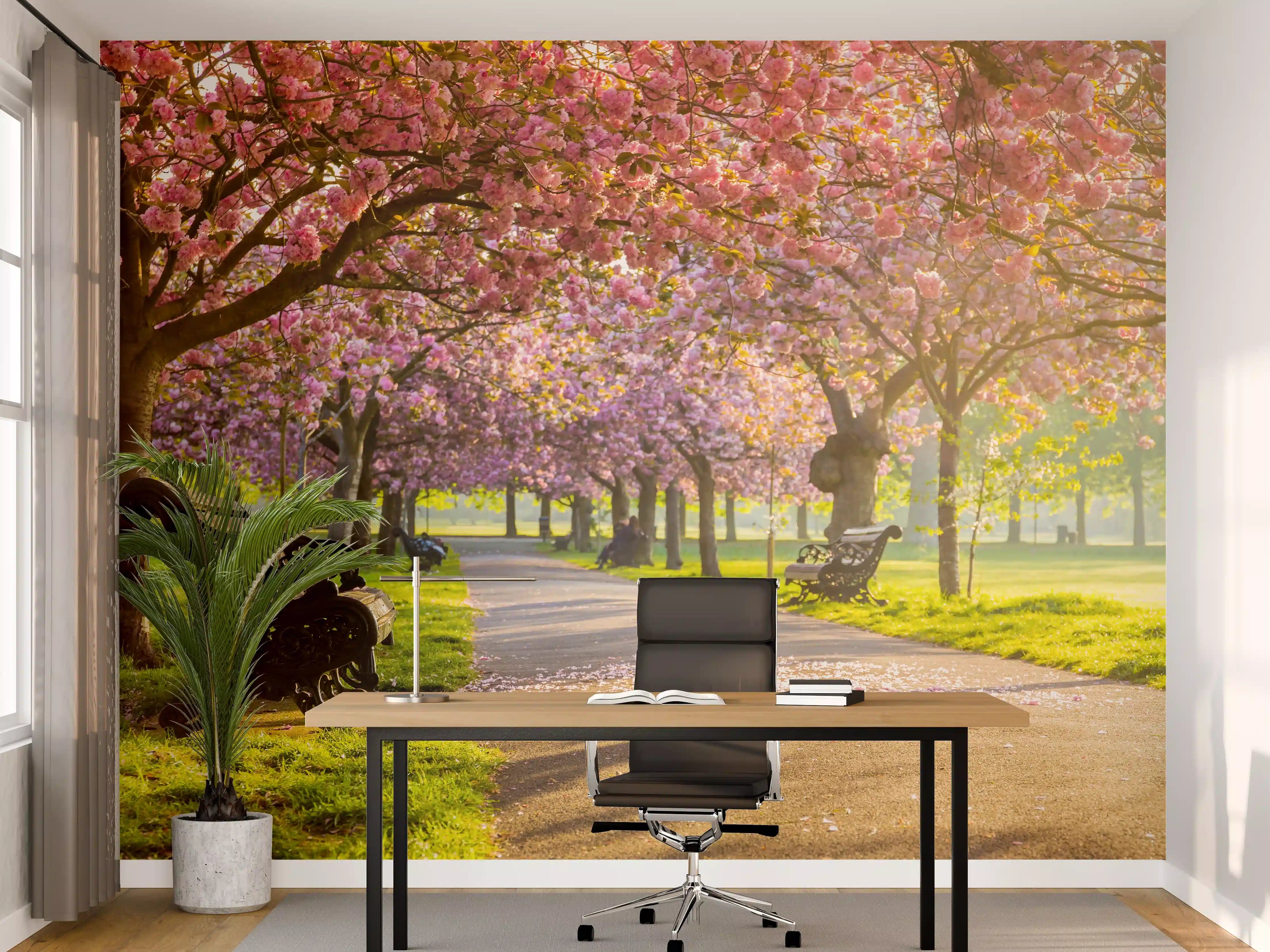 Büro Wandgestaltung - Bänke unter Kirschblütenbäumen