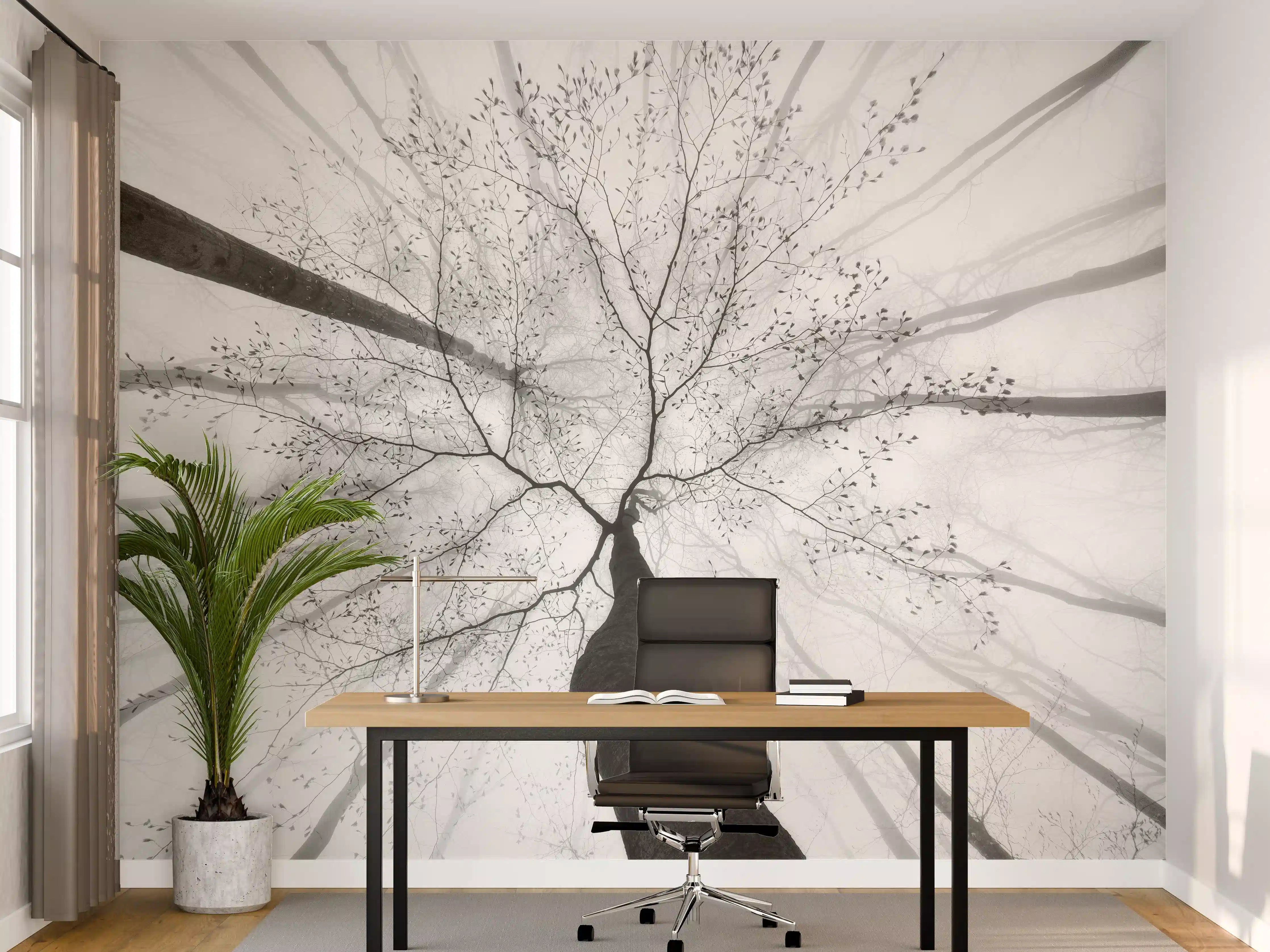 Büro Wandgestaltung - Baumkrone von unten im Winter