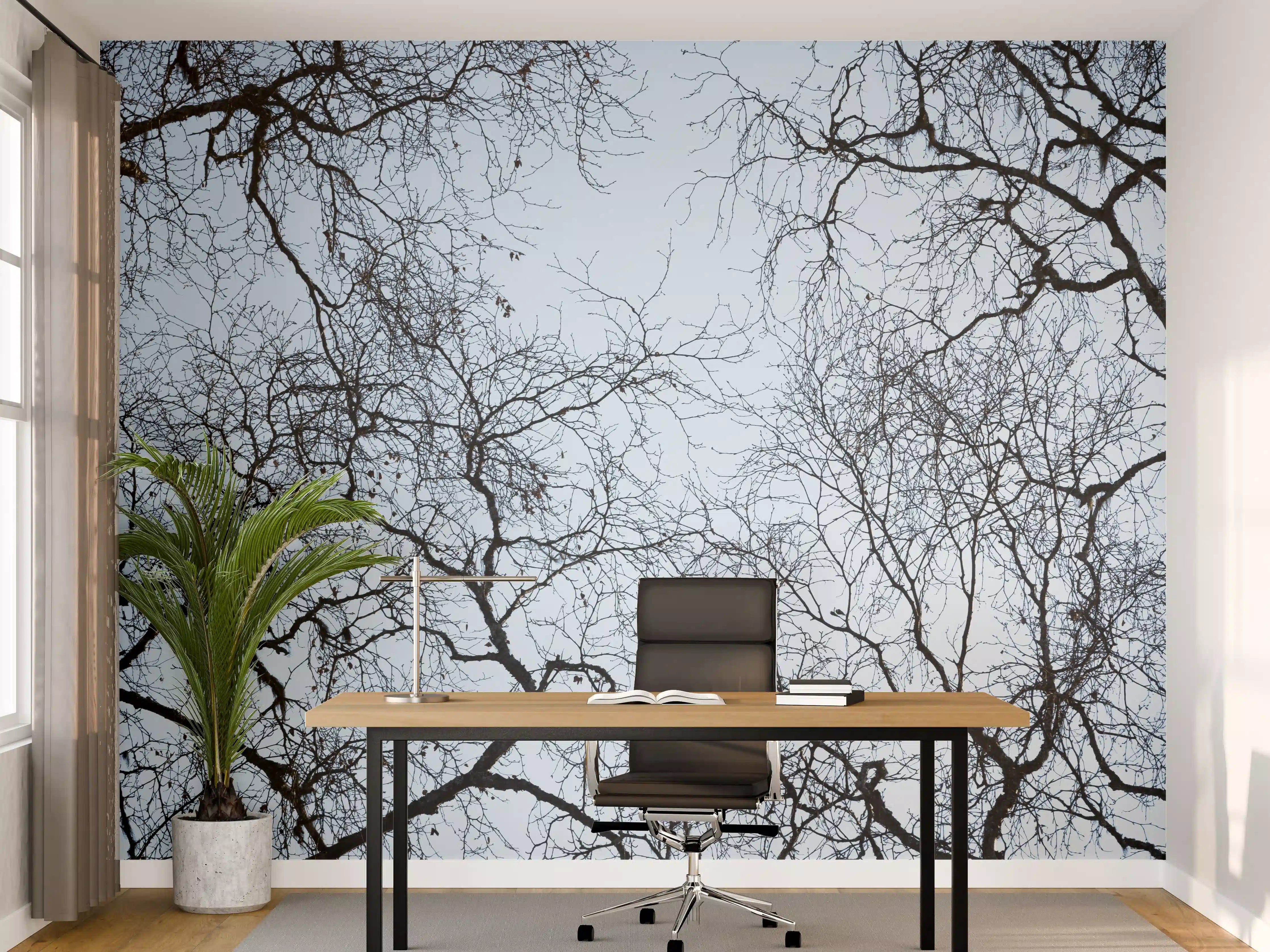 Büro Wandgestaltung - Baumkronen-Konturen Himmelblau