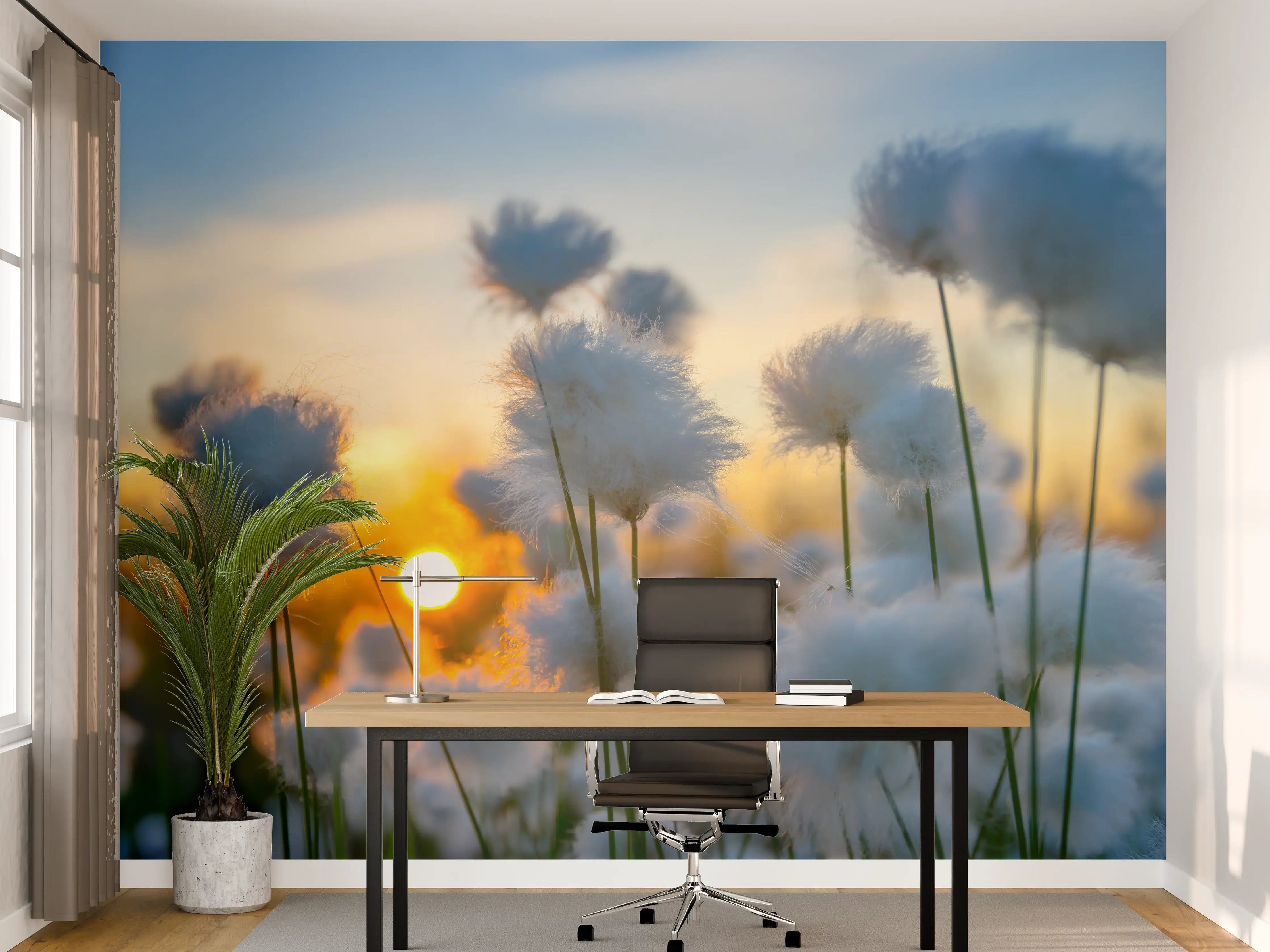 Büro Wandgestaltung - Baumwollgras bei Sonnenuntergang