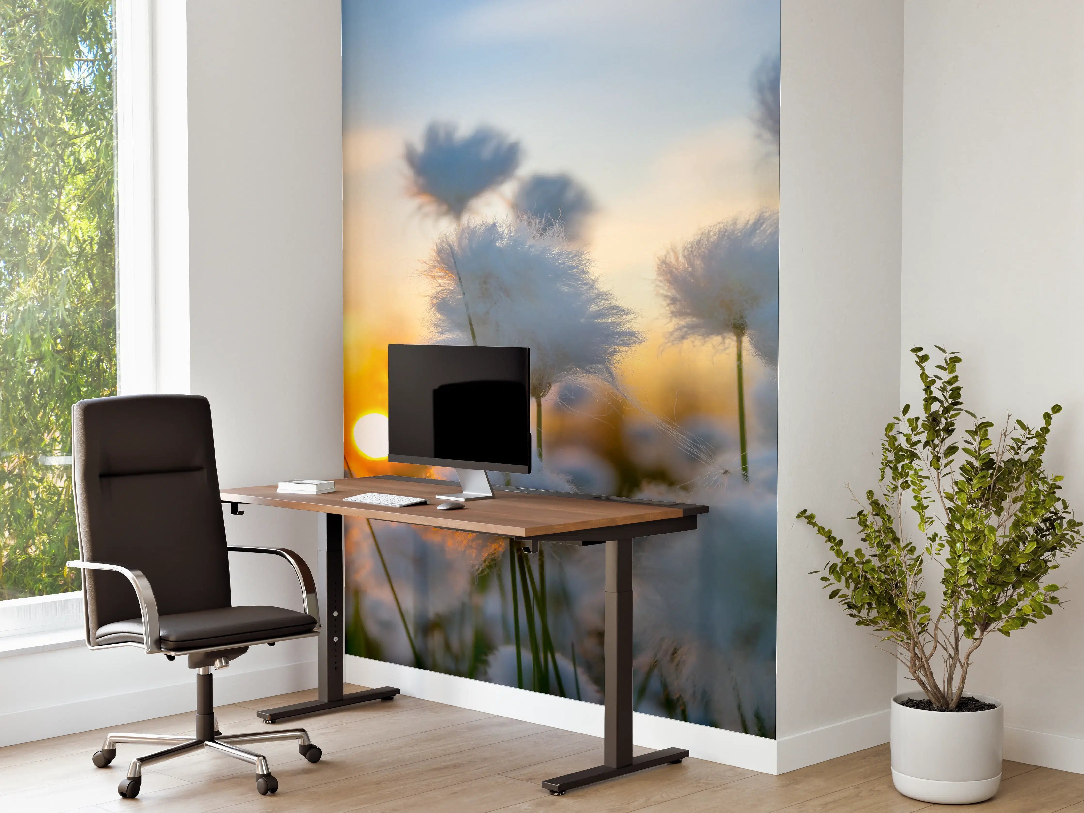 Büro Wandgestaltung - Baumwollgras bei Sonnenuntergang