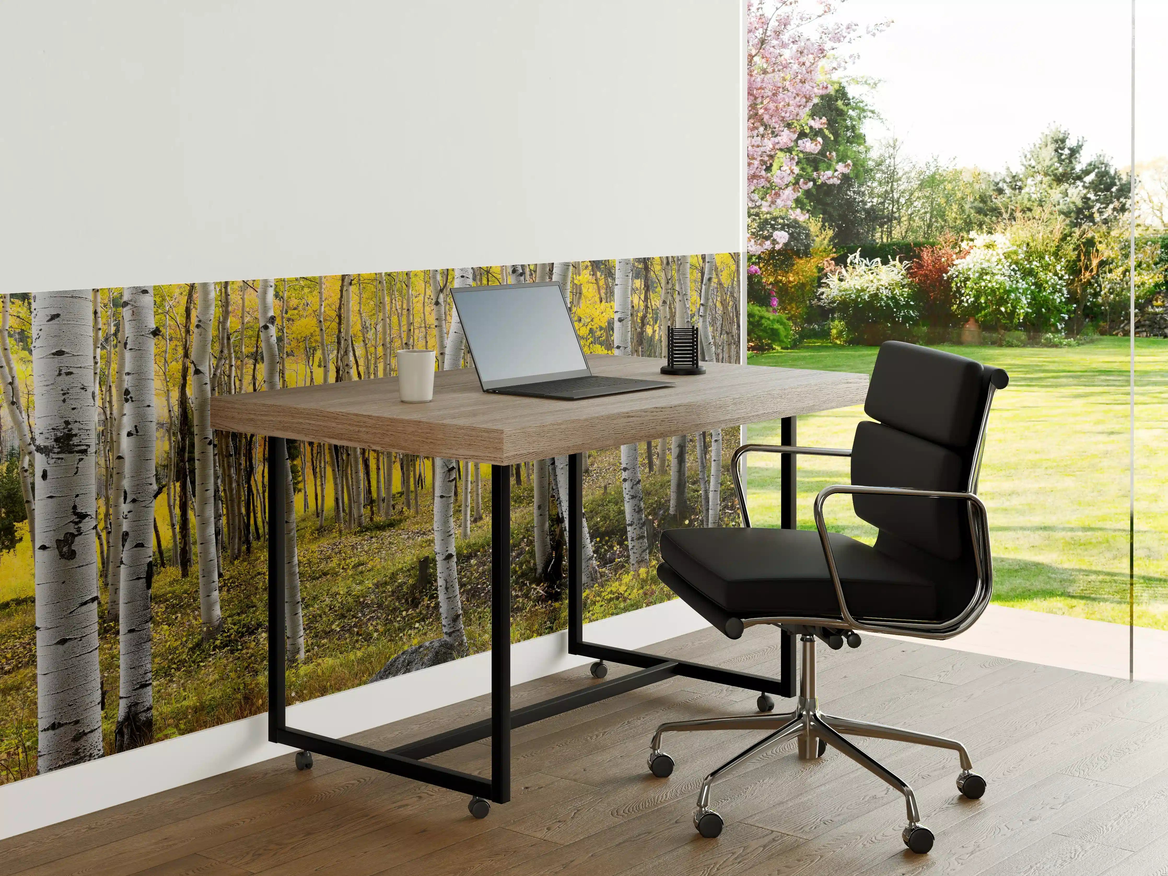 Büro Wandgestaltung - Birken im Herbst