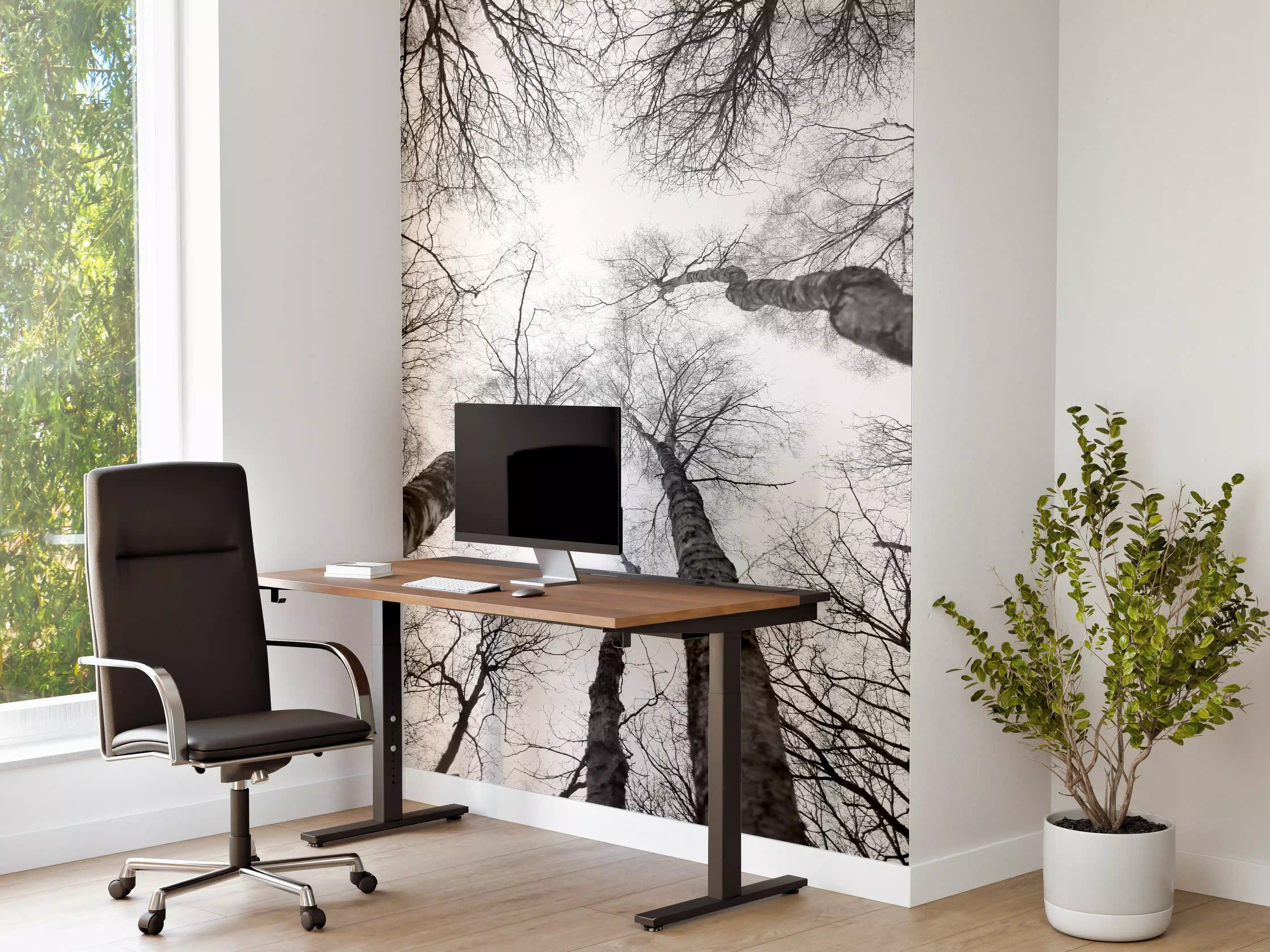 Büro Wandgestaltung - Birken im Winter von unten