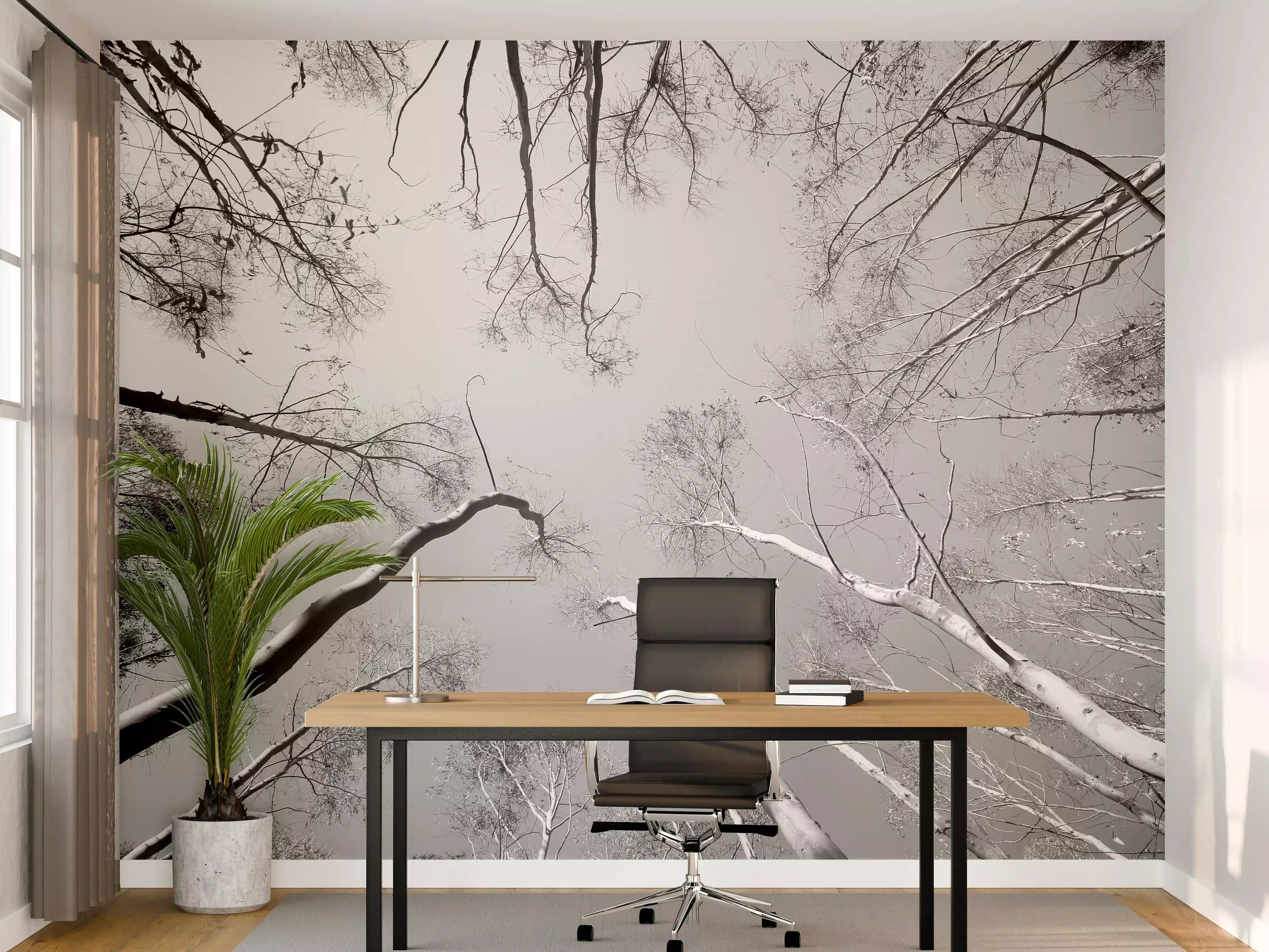 Büro Wandgestaltung - Birkenwald im Winter von unten