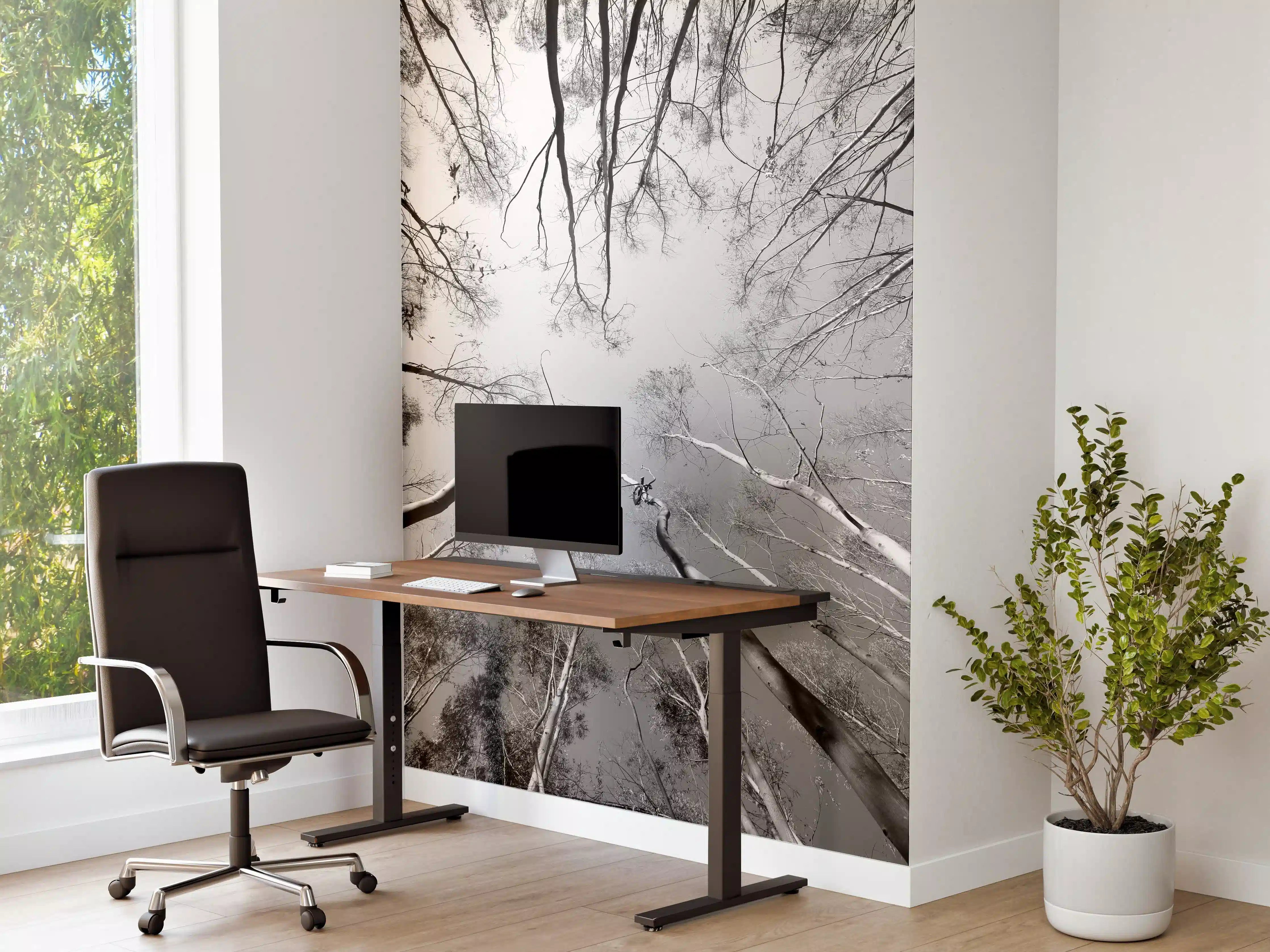 Büro Wandgestaltung - Birkenwald im Winter von unten