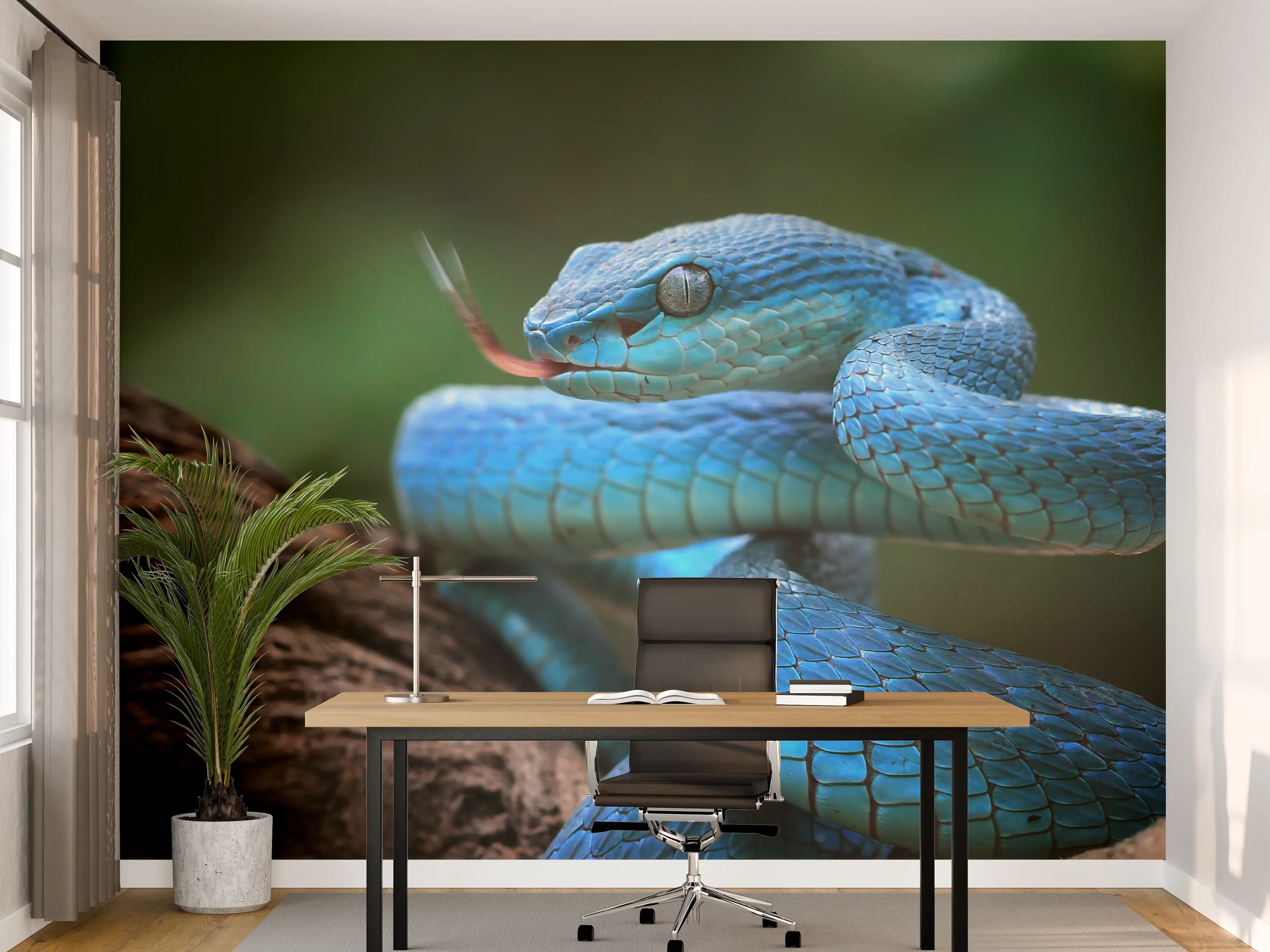 Büro Wandgestaltung - Blaue Viper Nahaufnahme