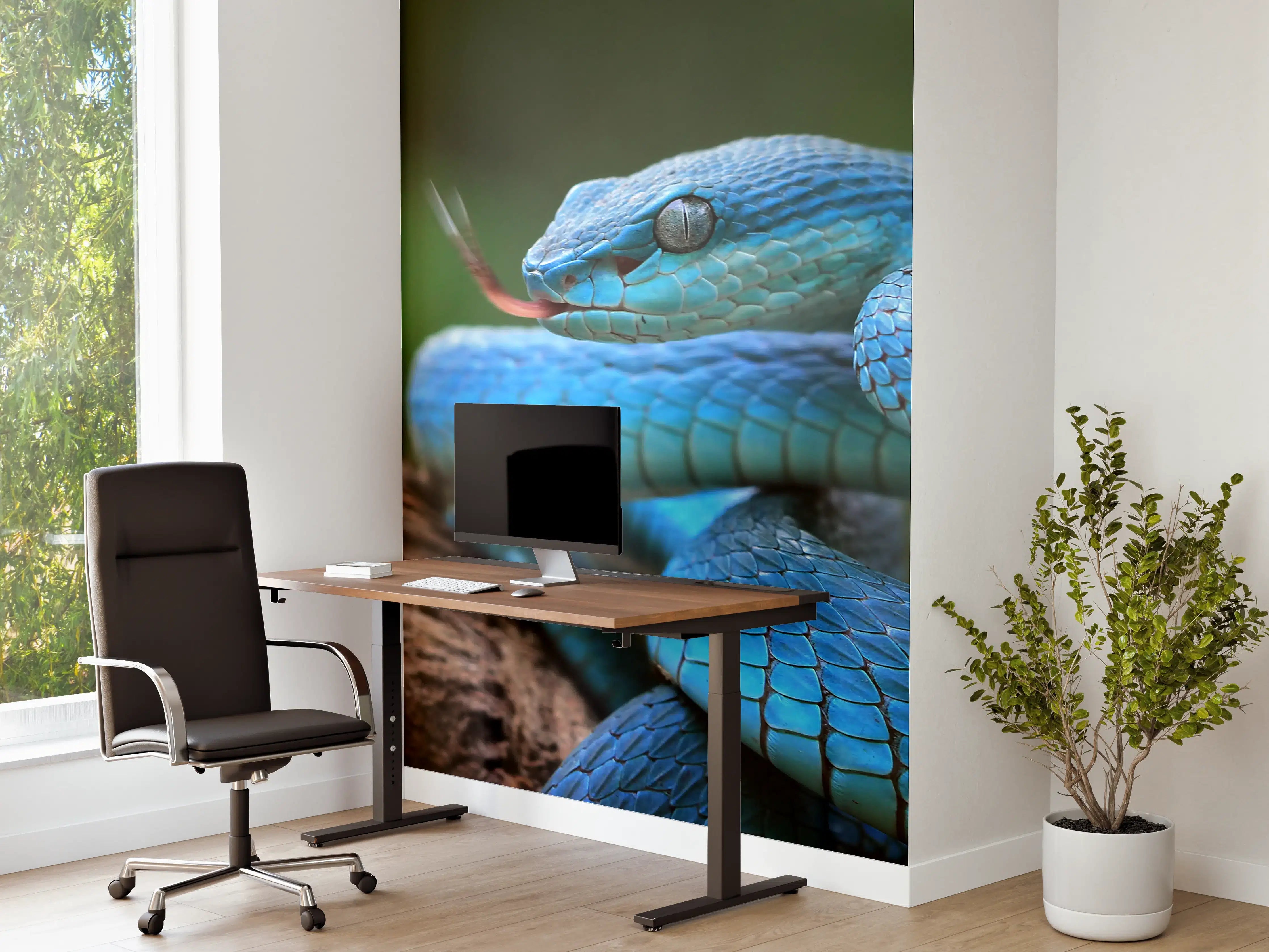 Büro Wandgestaltung - Blaue Viper Nahaufnahme