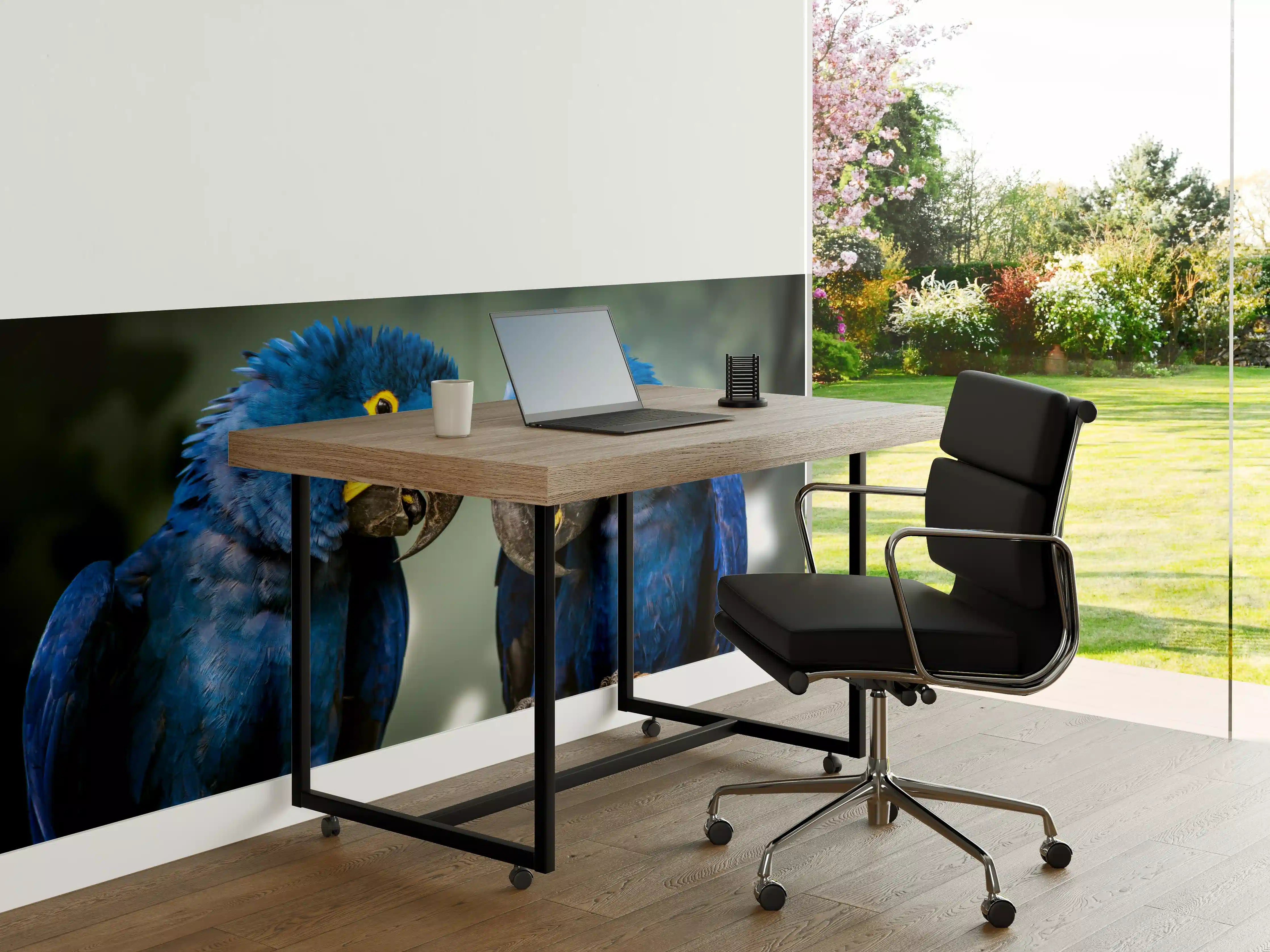 Büro Wandgestaltung - Blauer Gelbschwarzer Ara