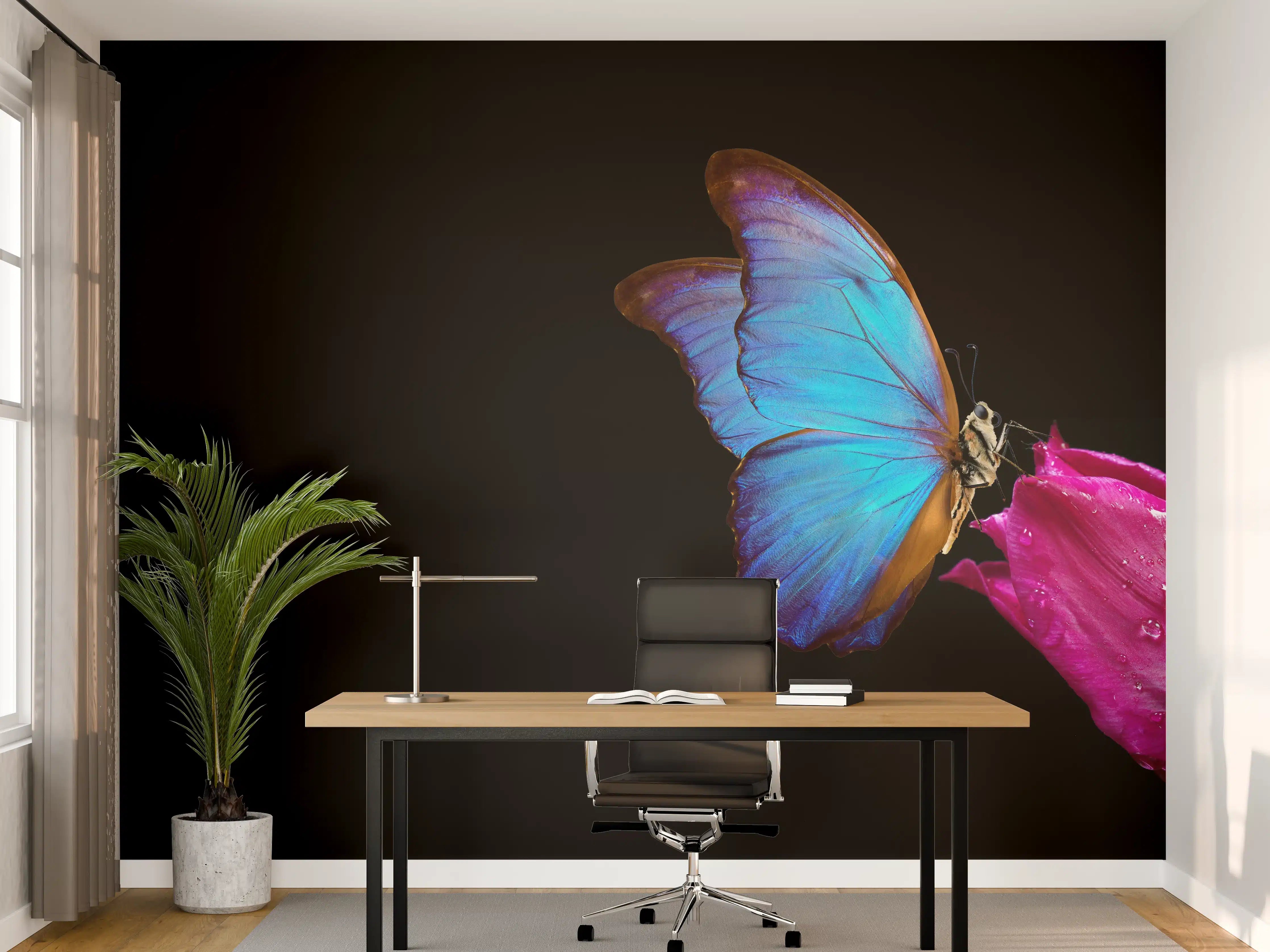 Büro Wandgestaltung - Blauer Morphofalter - schwarzer Hintergrund