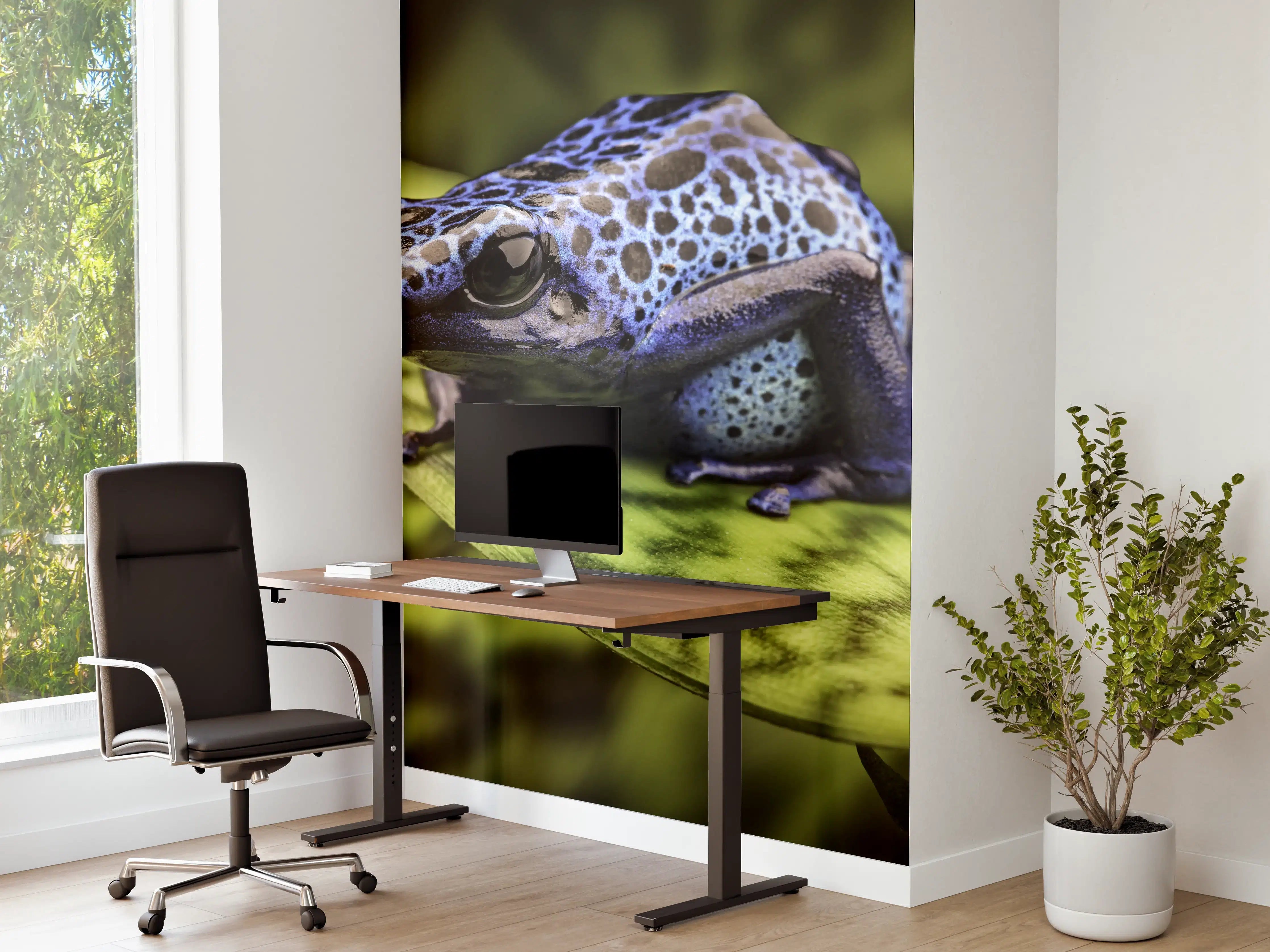 Büro Wandgestaltung - Blauer Pfeilgiftfrosch im Amazonas