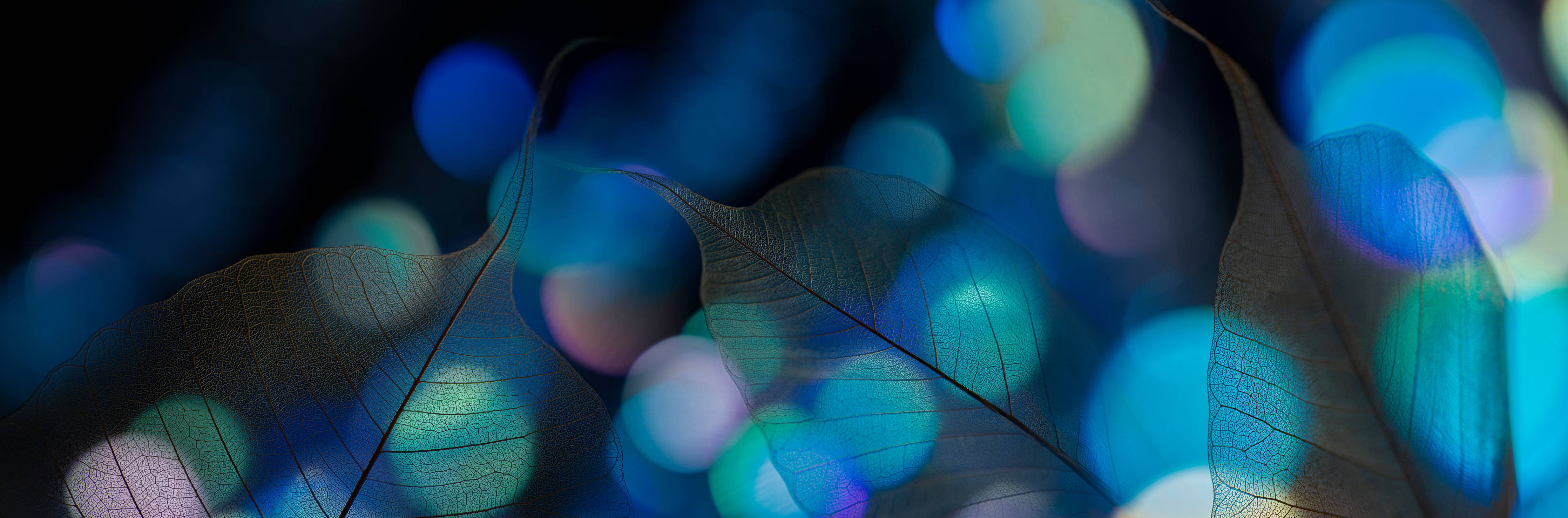 Büro Wandgestaltung-Blaugrün Lichtspiel Blatttextur