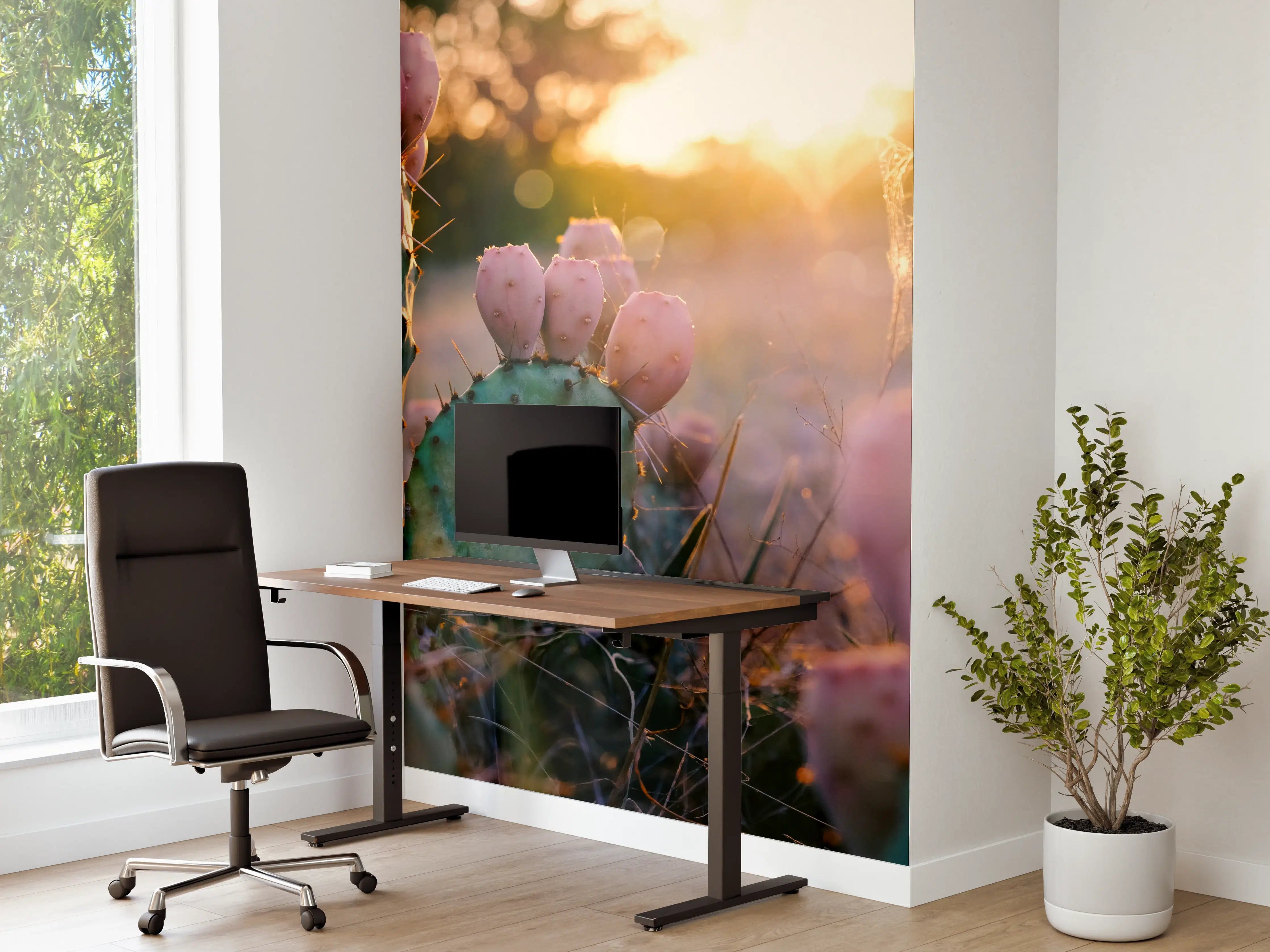 Büro Wandgestaltung - Blühender Kaktus bei Sonnenuntergang 