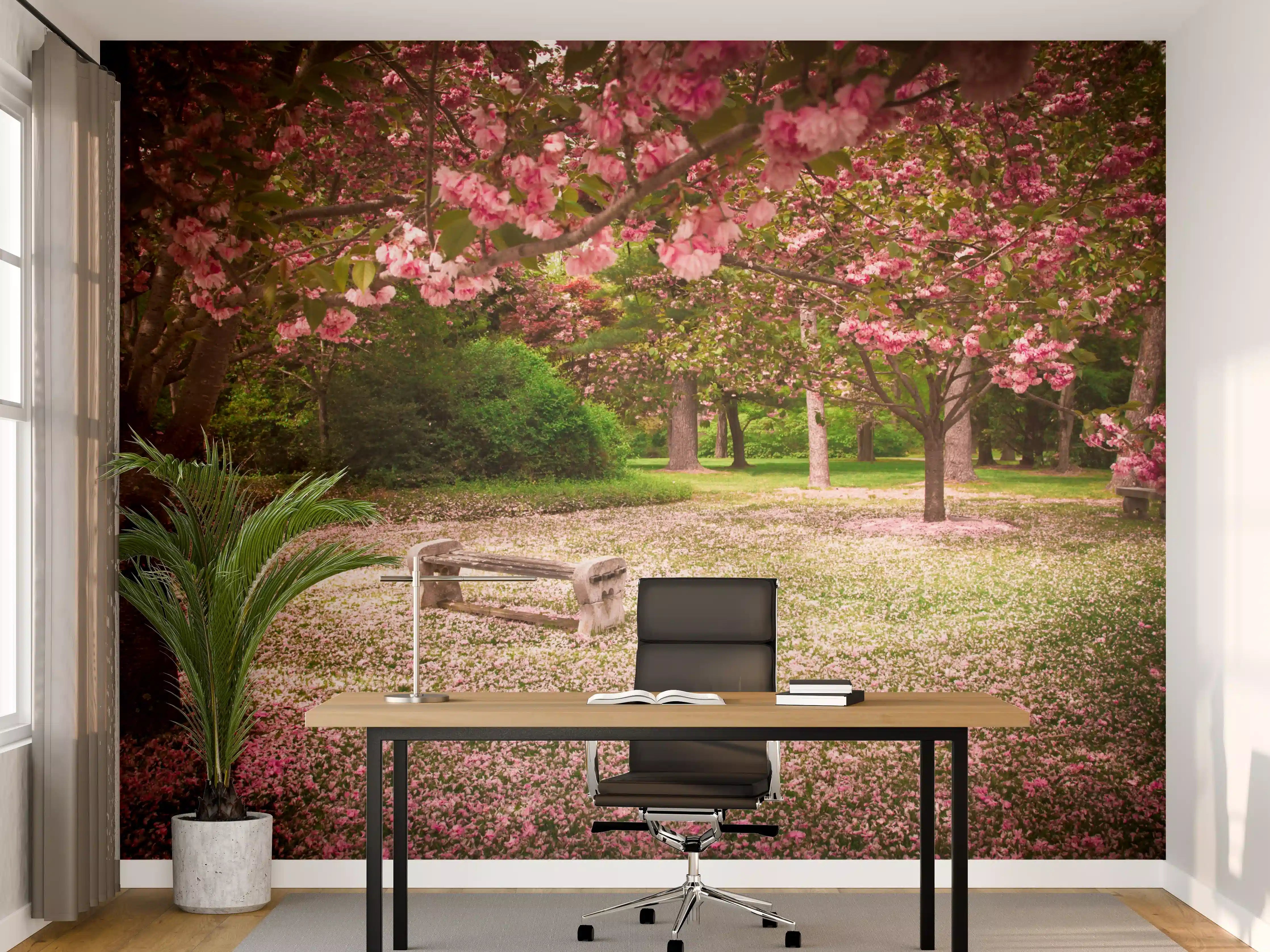 Büro Wandgestaltung - Blühender Park mit rosa Kirschblüten und Holzbank
