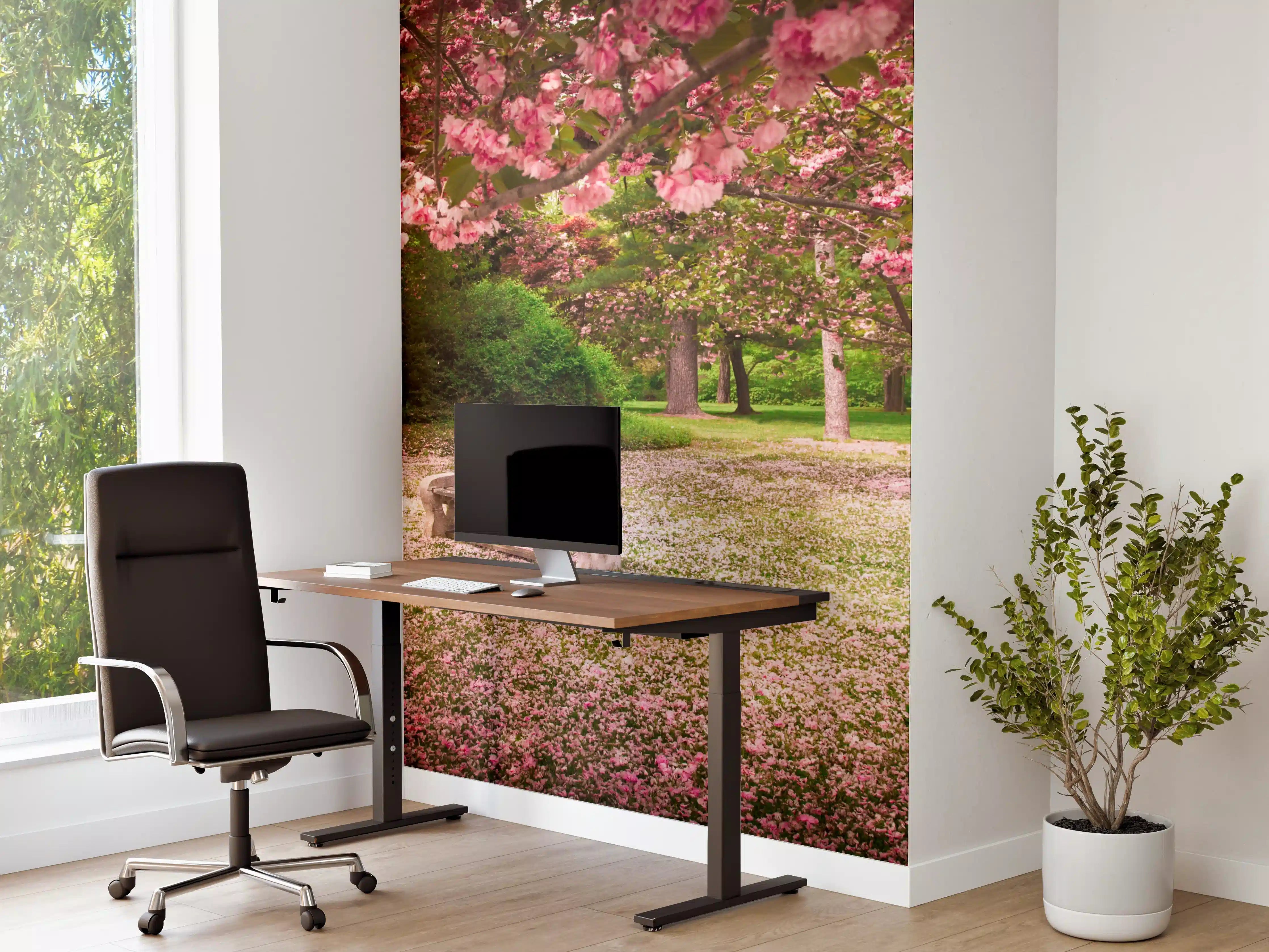 Büro Wandgestaltung - Blühender Park mit rosa Kirschblüten und Holzbank