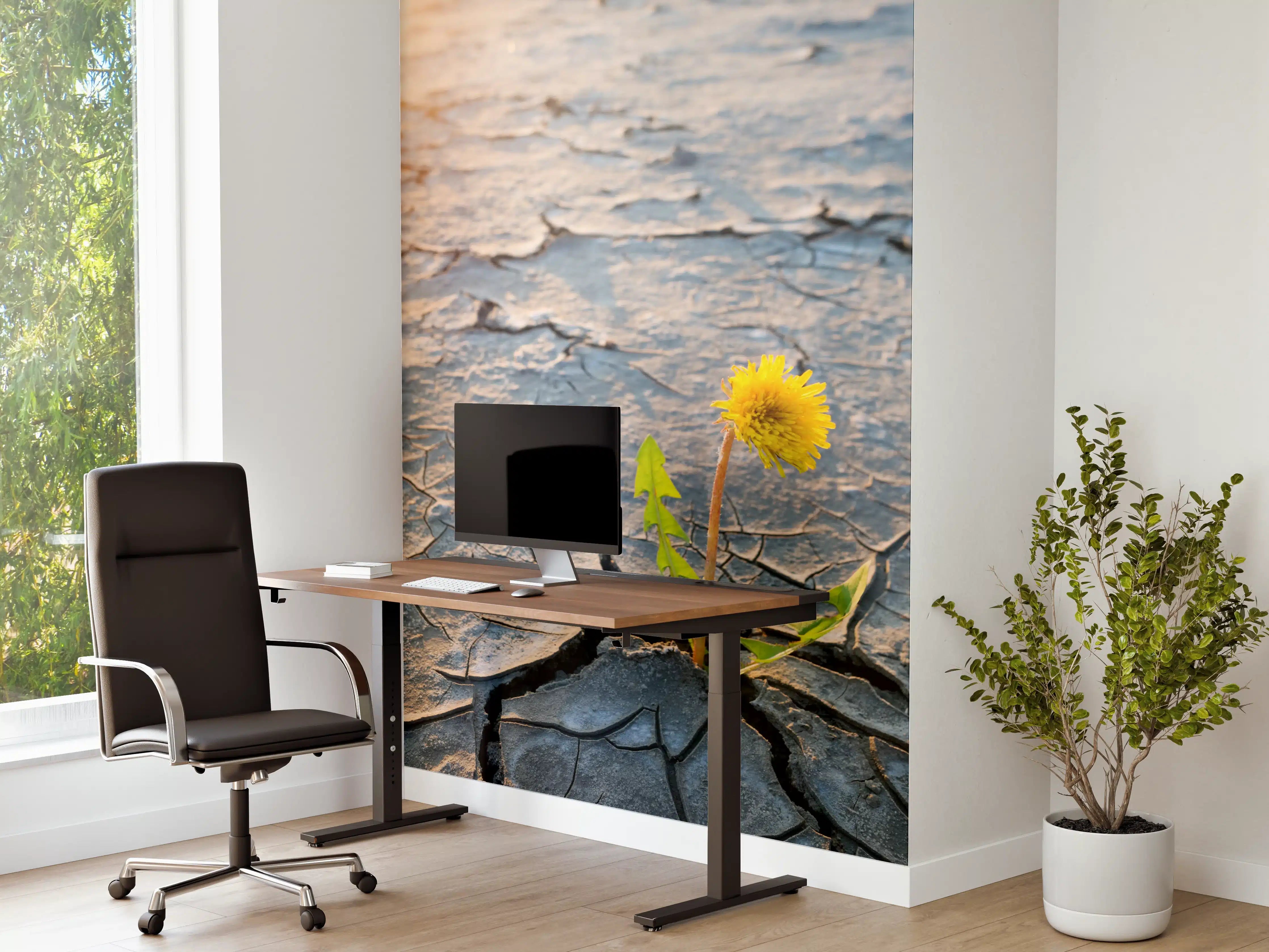Büro Wandgestaltung - Blume wächst in trockener Wüste