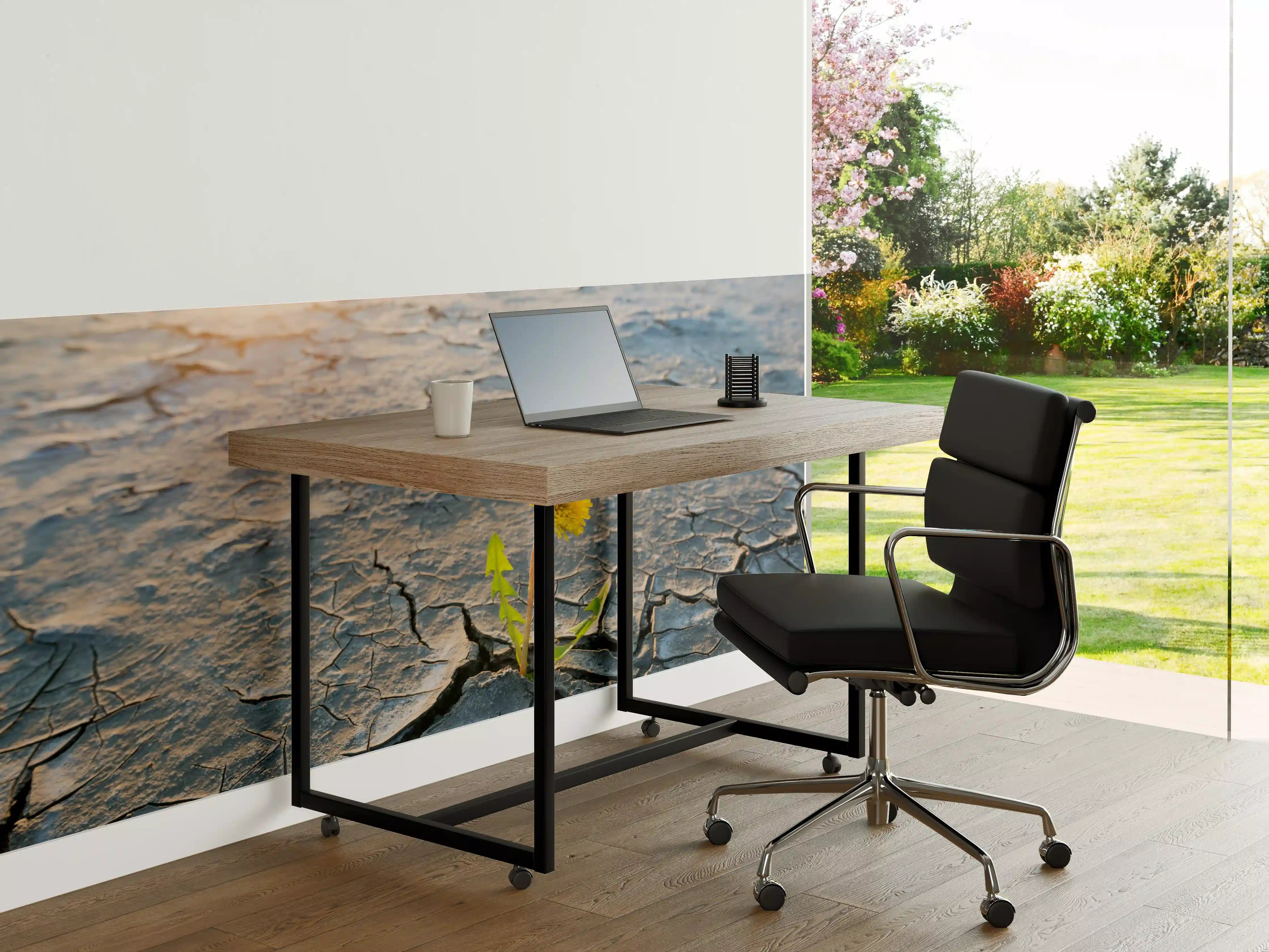 Büro Wandgestaltung - Blume wächst in trockener Wüste