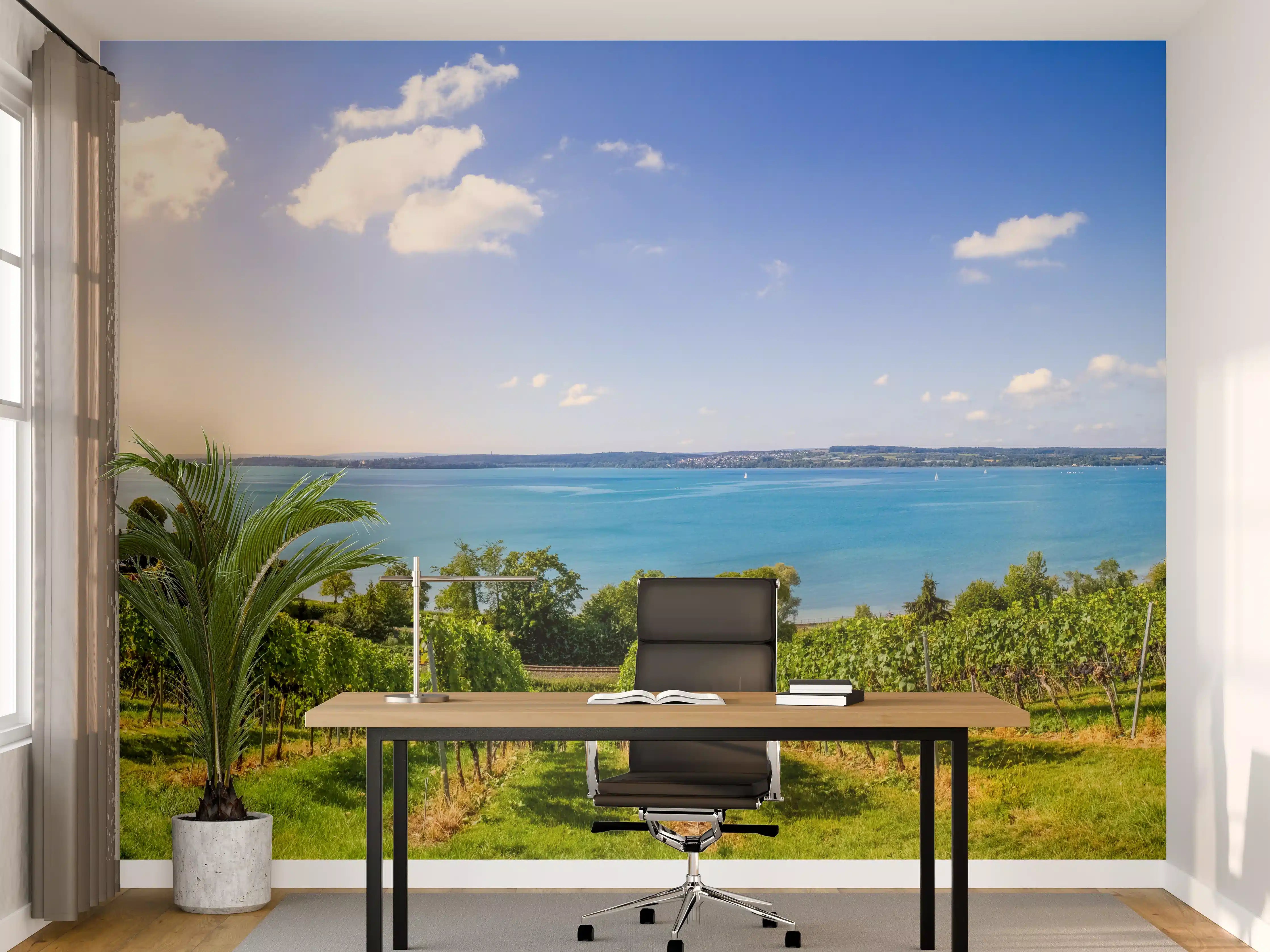 Büro Wandgestaltung - Bodensee Panorama in Birnau