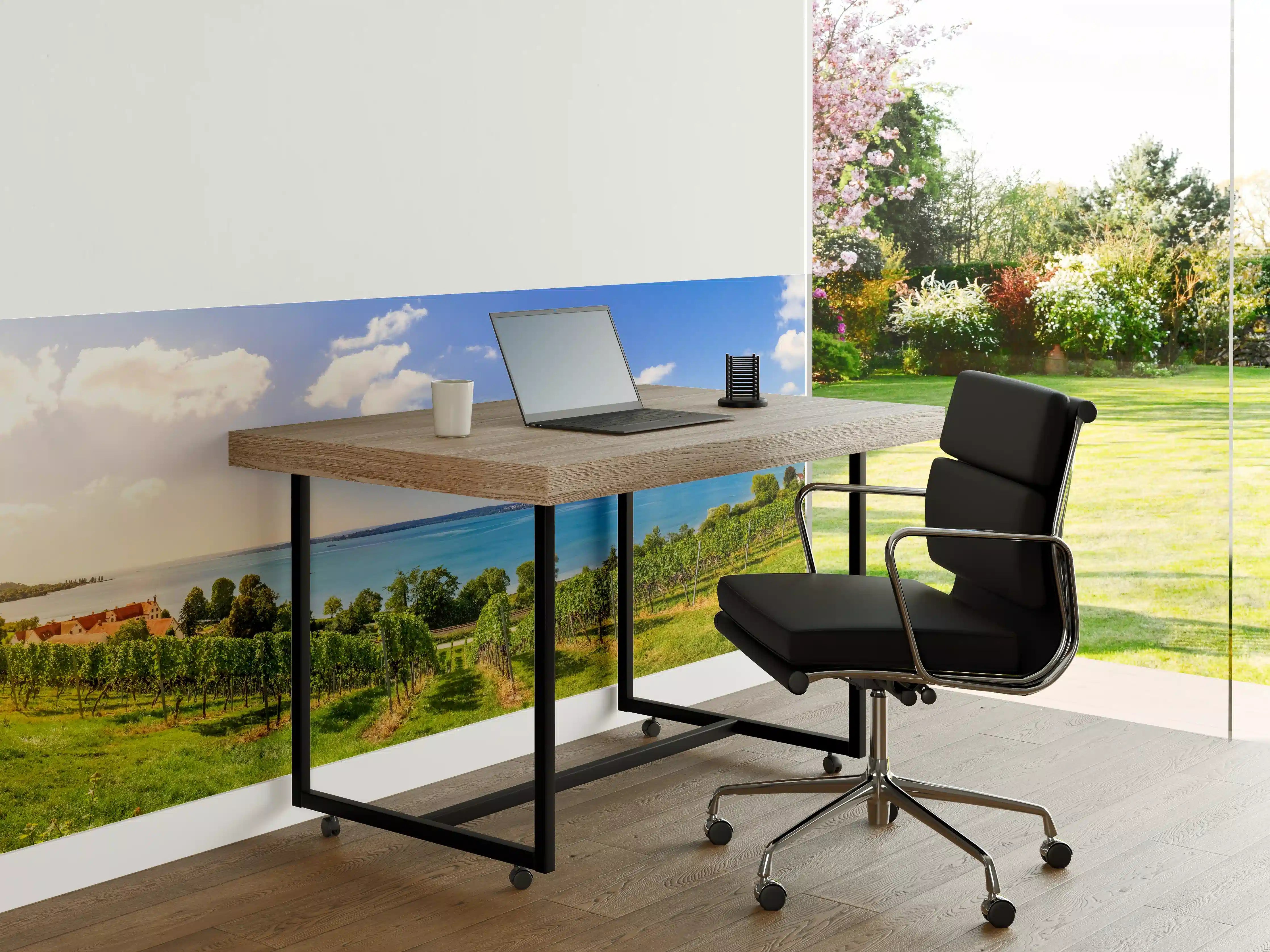Büro Wandgestaltung - Bodensee Panorama in Birnau
