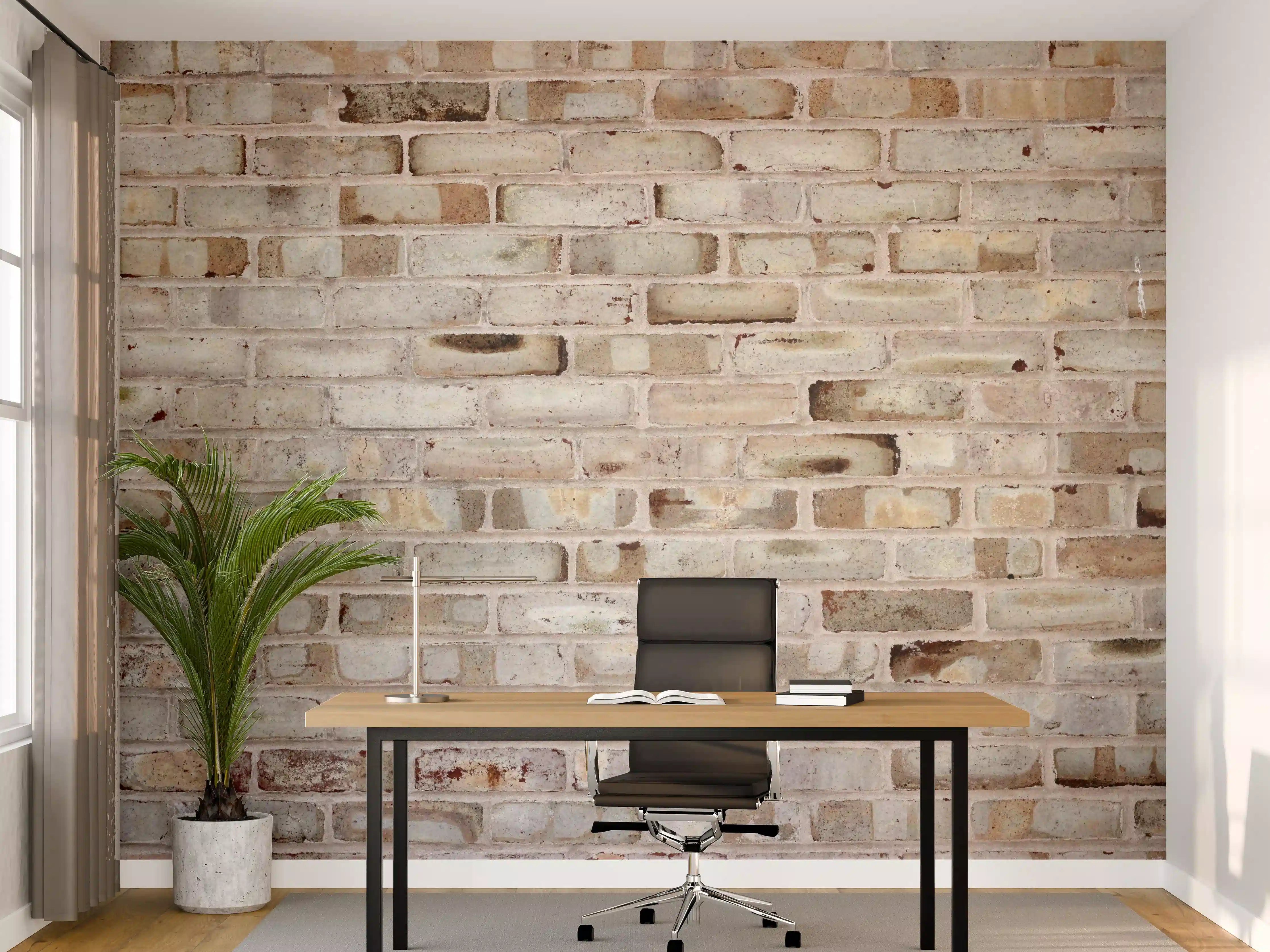 Büro Wandgestaltung - Braune verschimmelte Ziegelmauer