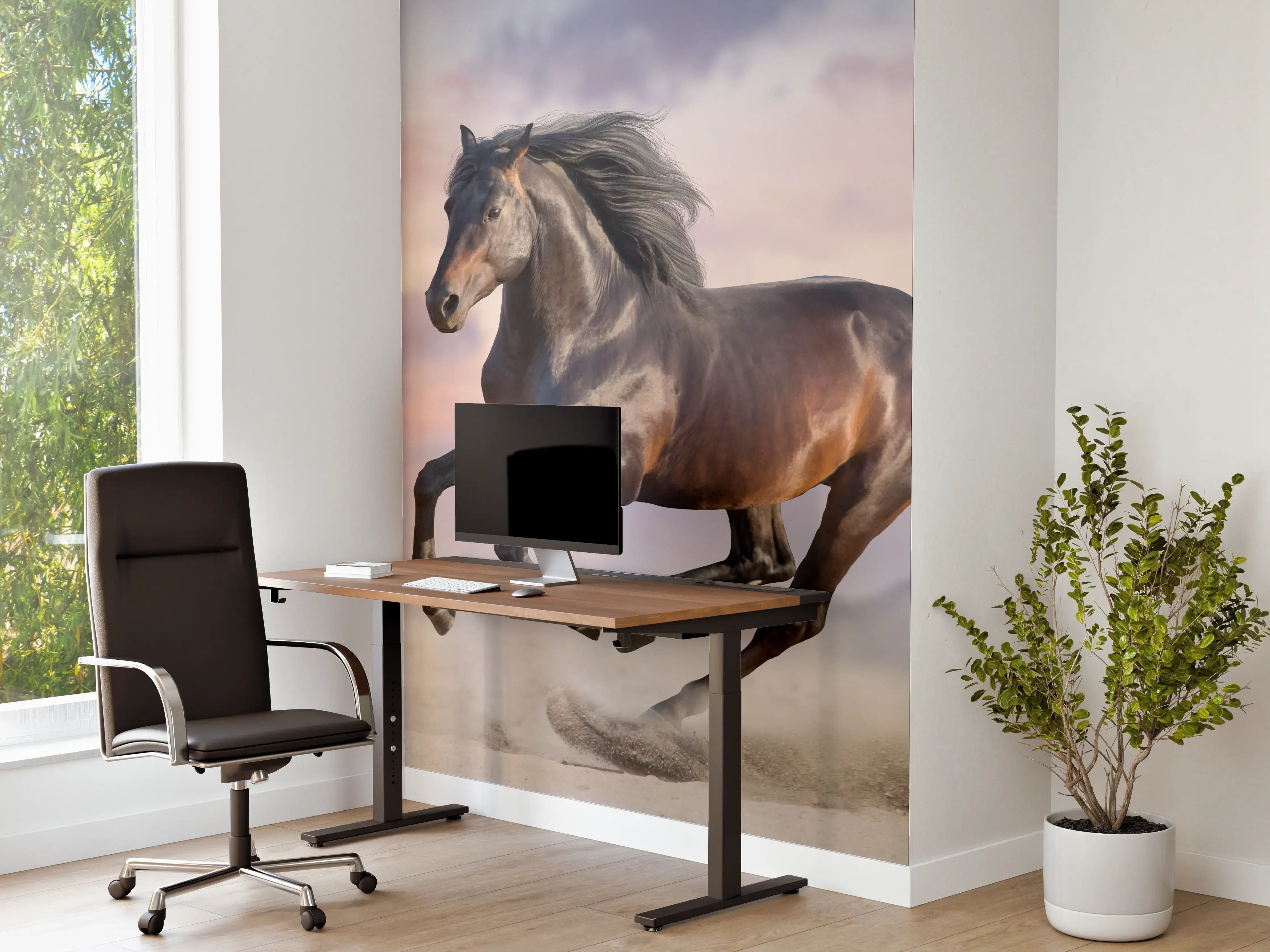 Büro Wandgestaltung - Braunes Pferd in Wüstensand