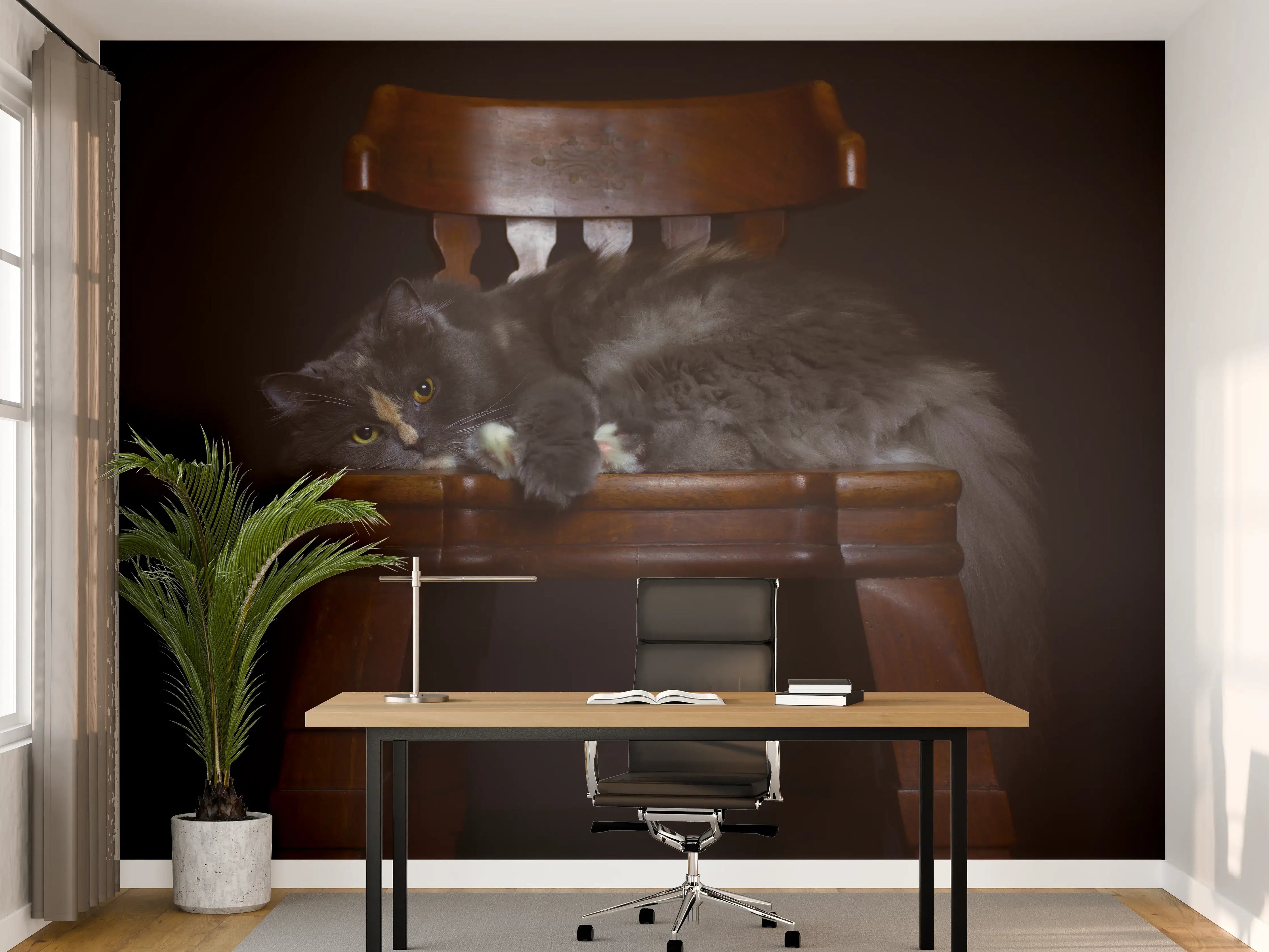 Büro Wandgestaltung - Britisch Langhaarkatze auf Holzstuhl