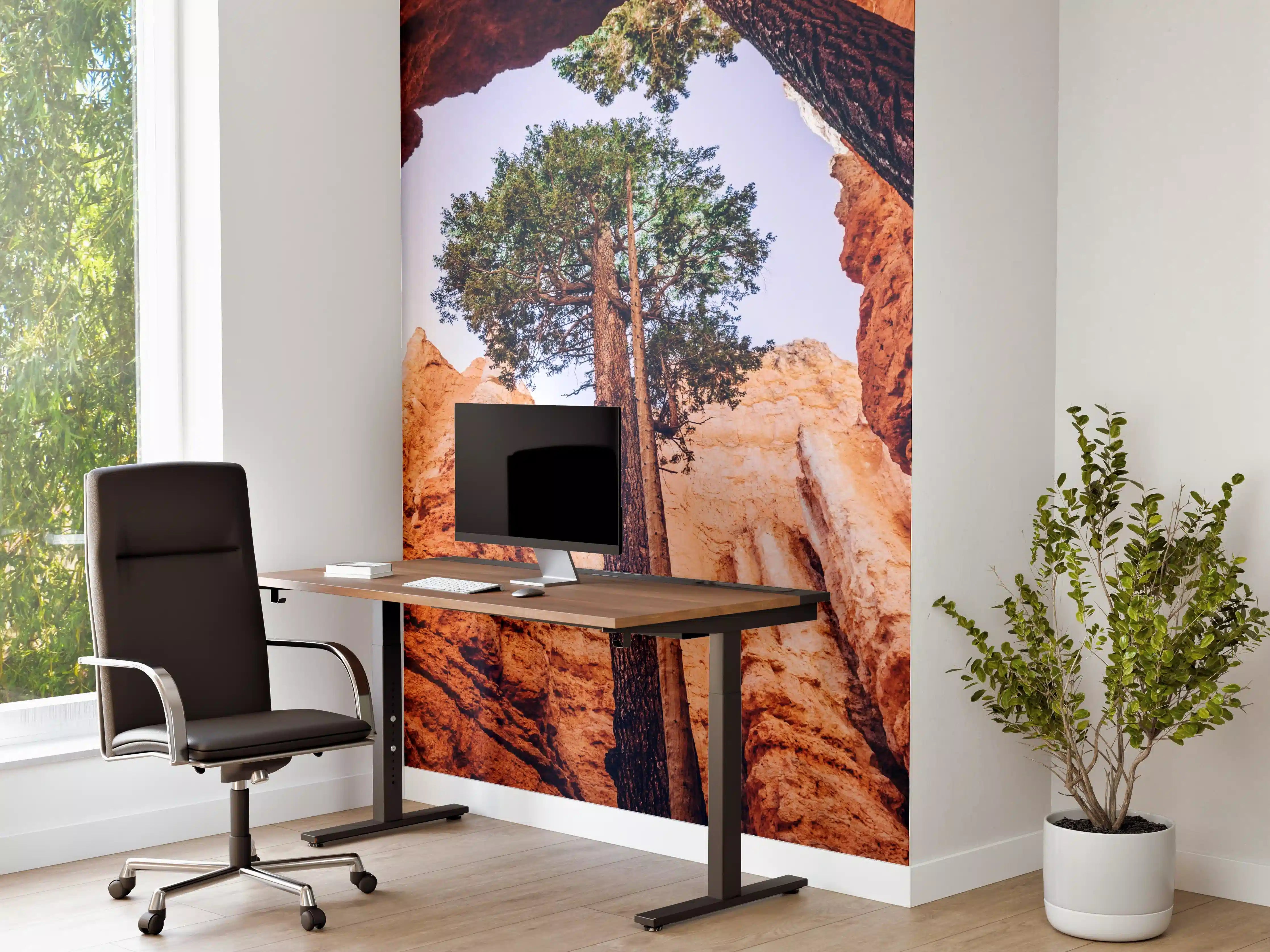 Büro Wandgestaltung - Bryce Canyon Rötliche Felsen