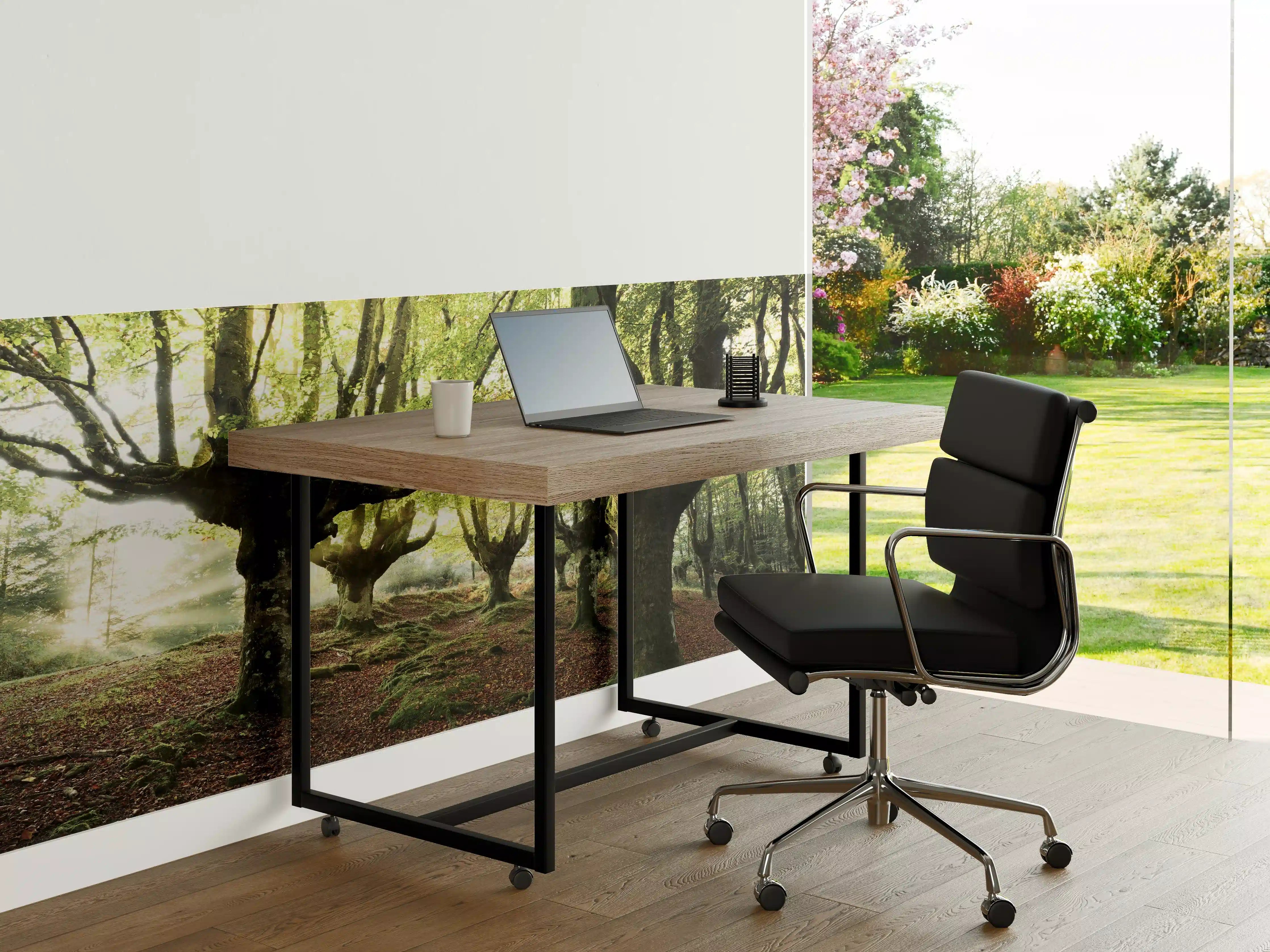 Büro Wandgestaltung - Buchenwald in Spanien