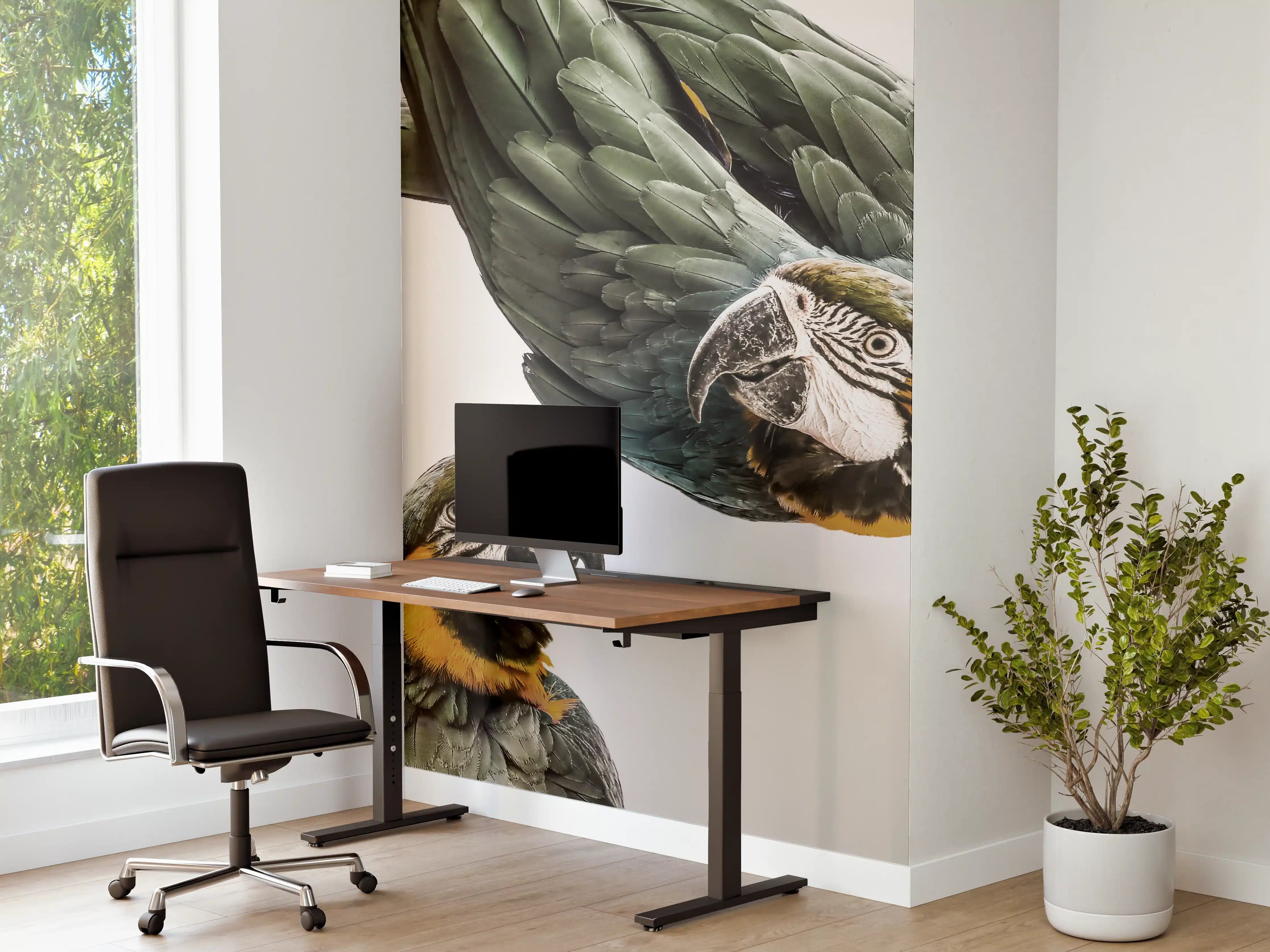 Büro Wandgestaltung - Bunte Papageien in High-Key