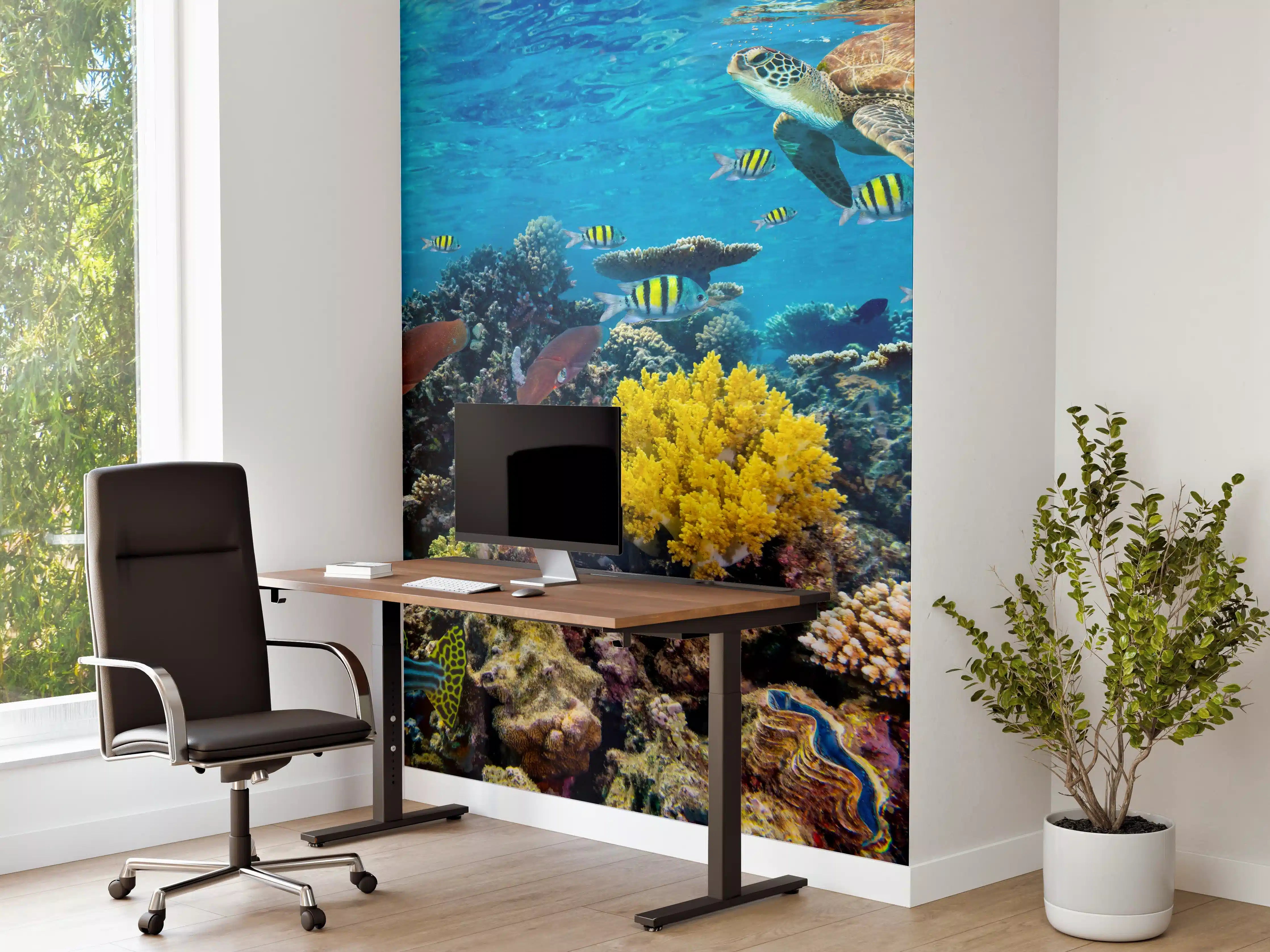 Büro Wandgestaltung - Buntes Korallenriff Panorama