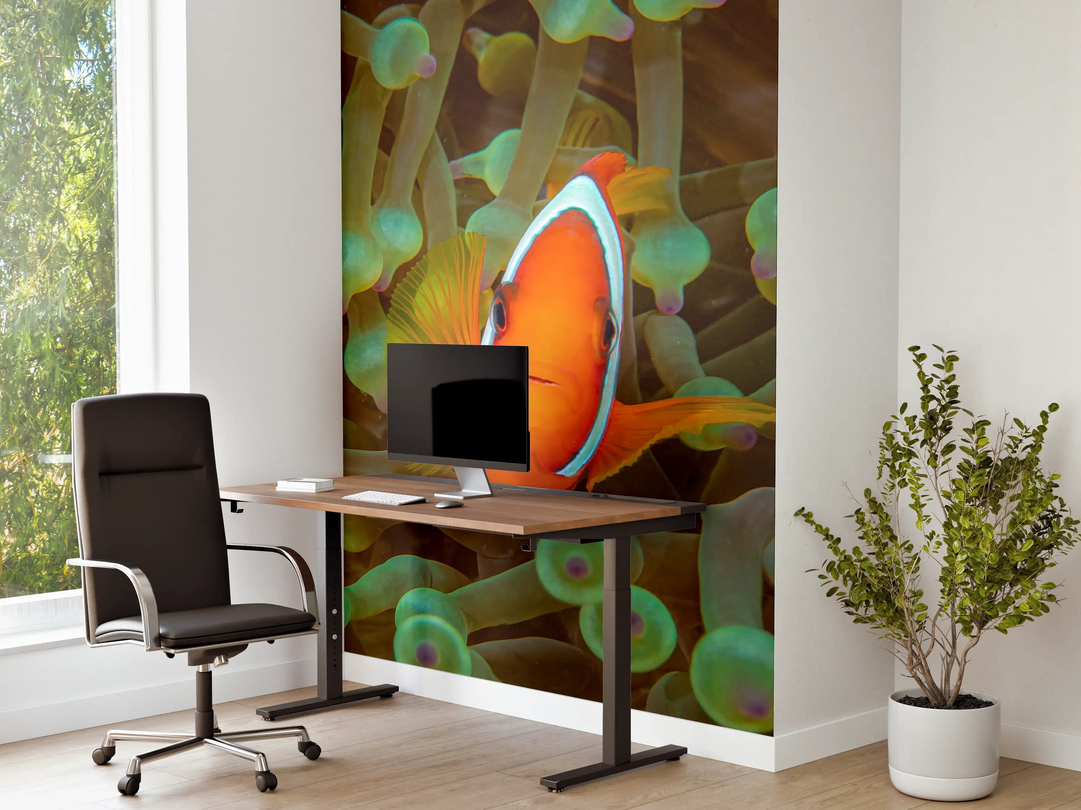Büro Wandgestaltung - Clownfisch - Unterwasserwelt