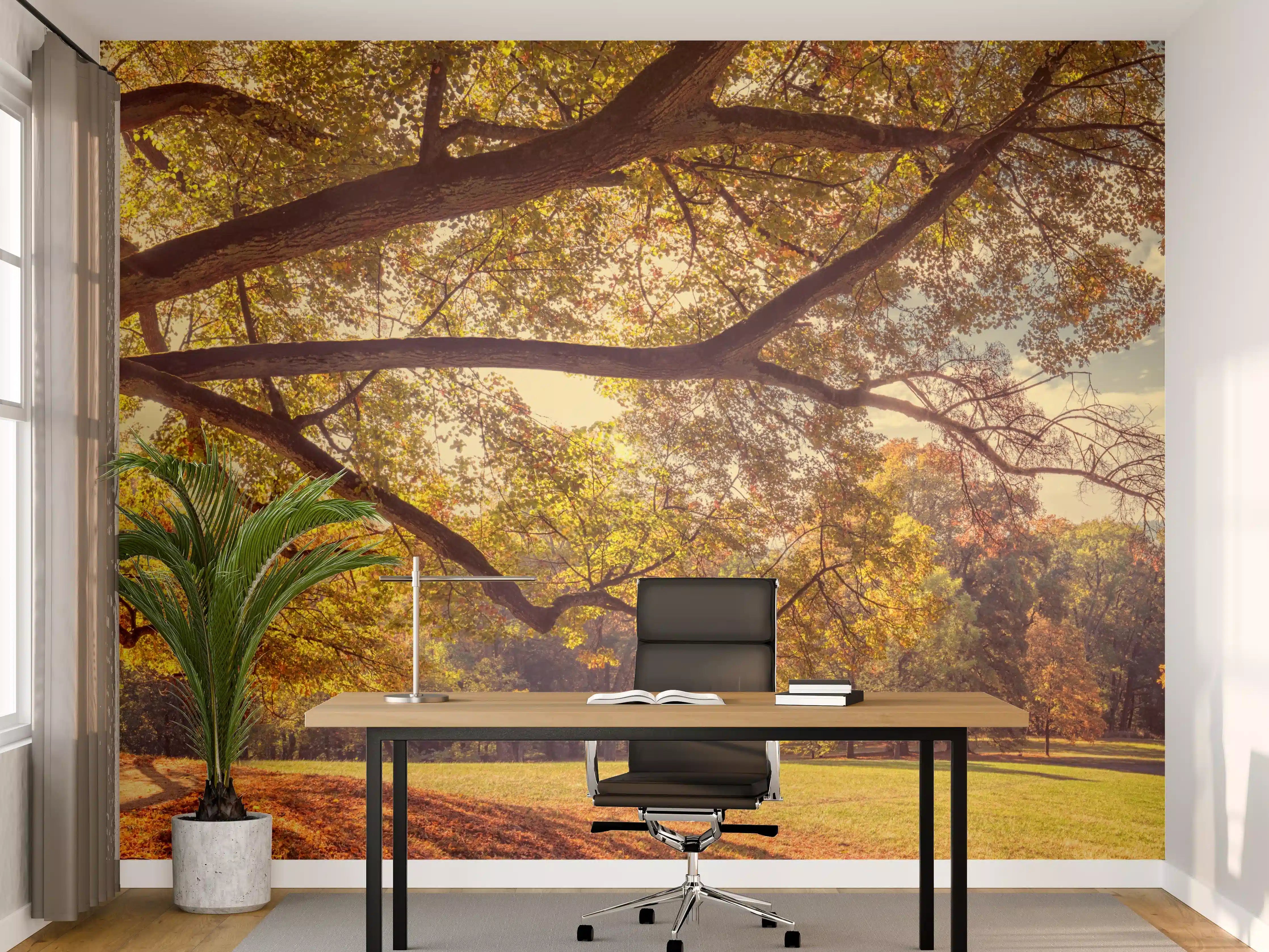 Büro Wandgestaltung - Coburg Hofgarten - Oberfranken