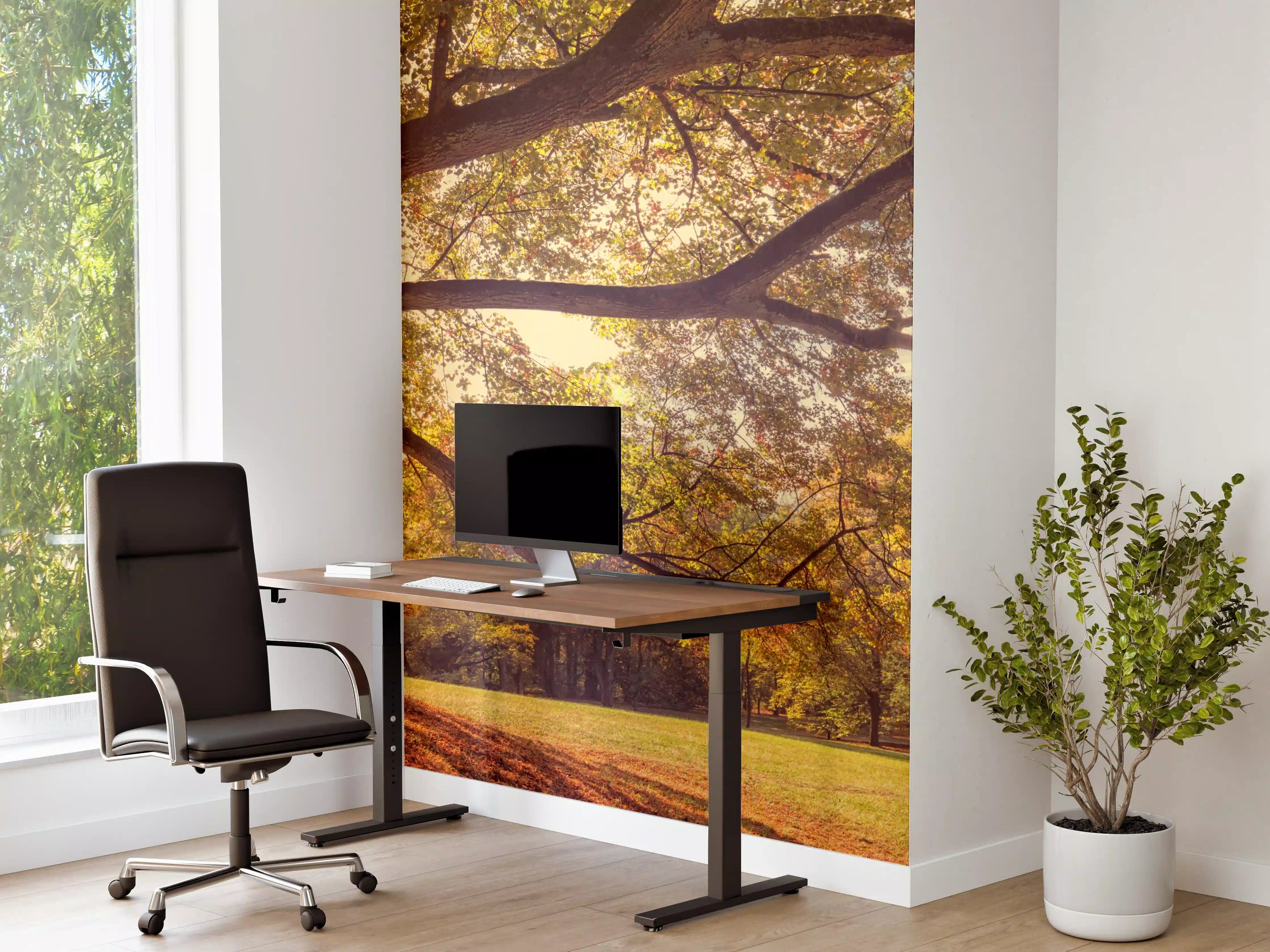 Büro Wandgestaltung - Coburg Hofgarten - Oberfranken