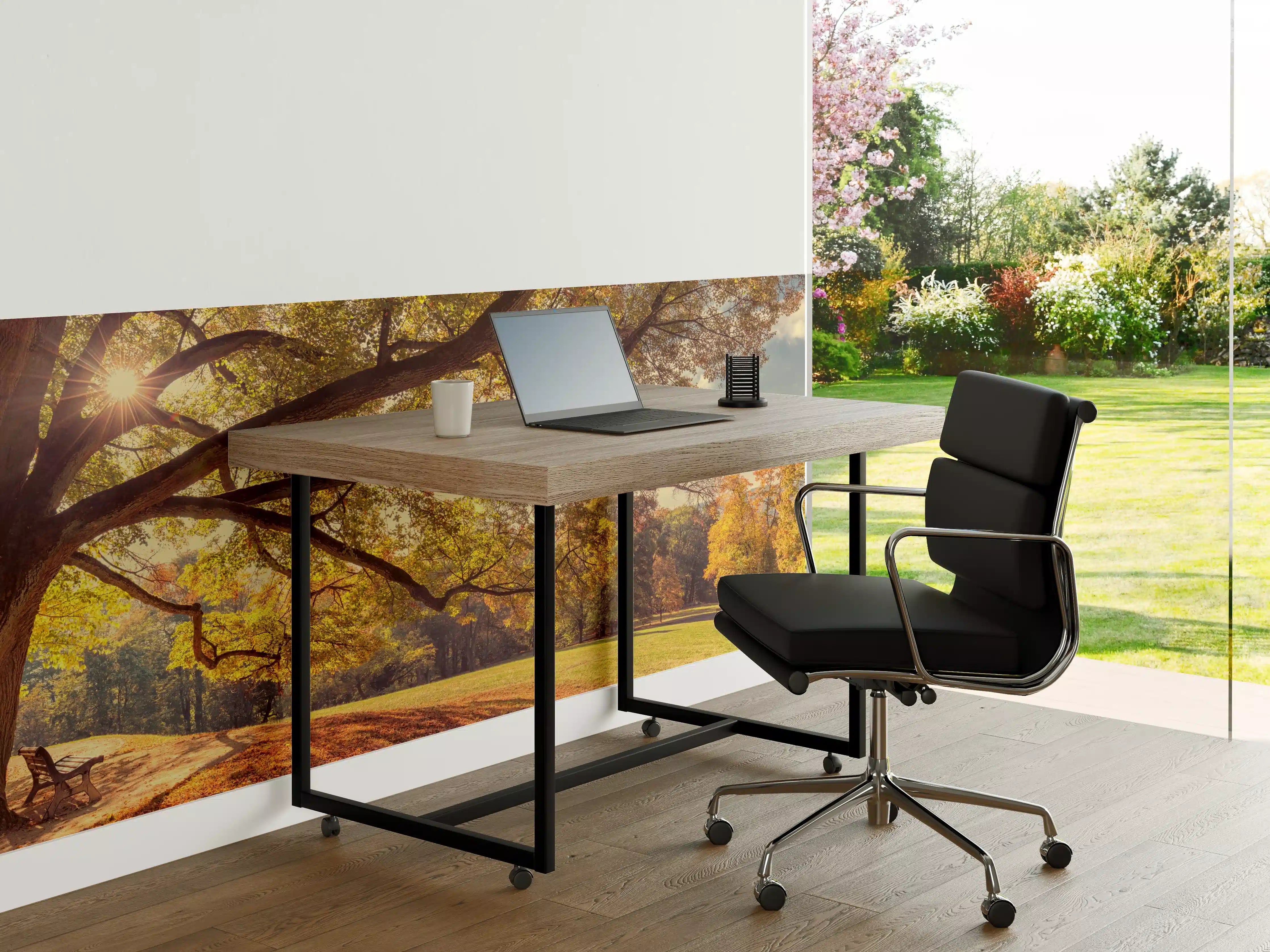 Büro Wandgestaltung - Coburg Hofgarten - Oberfranken