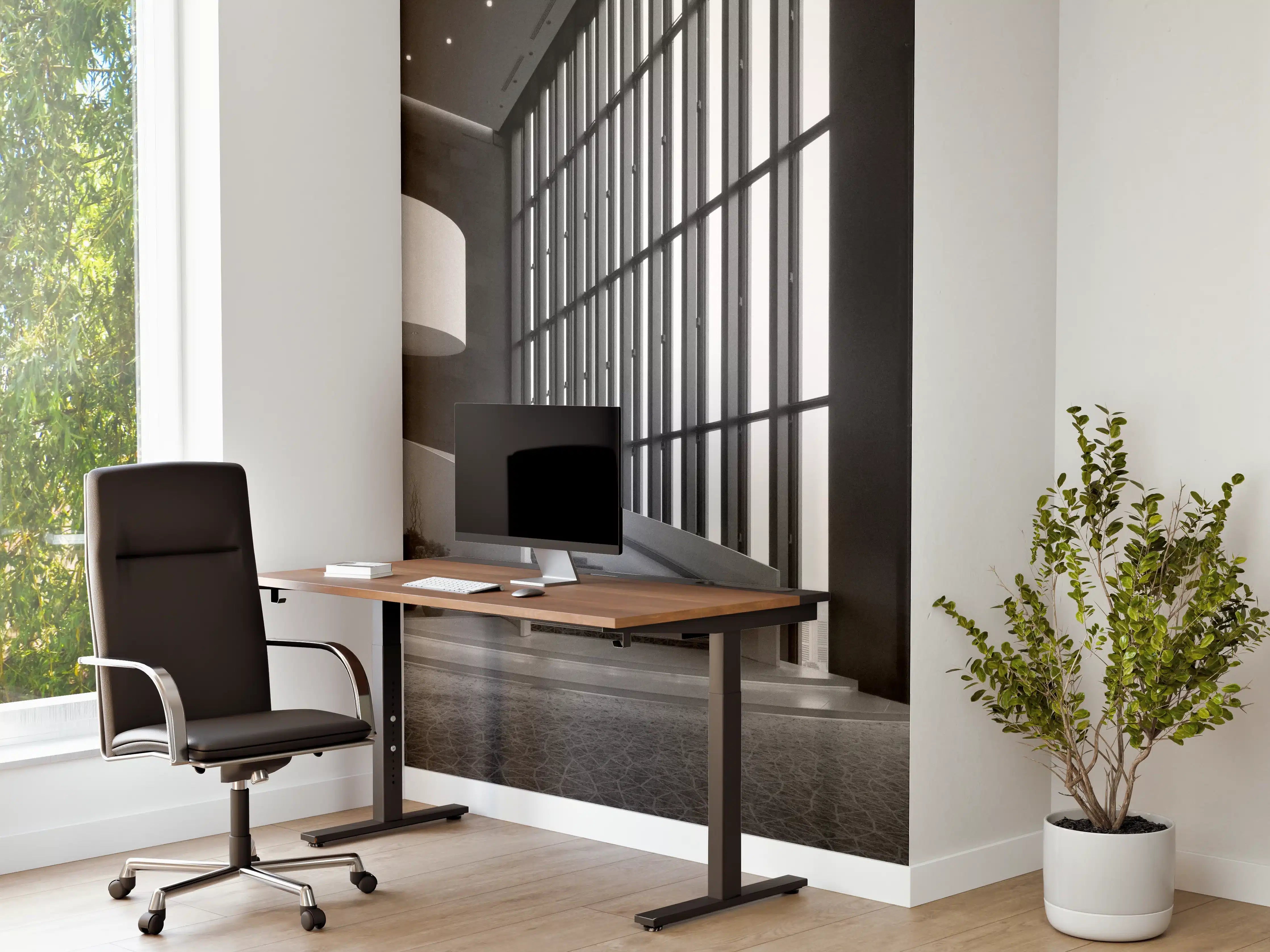 Büro Wandgestaltung - Conrad Osaka