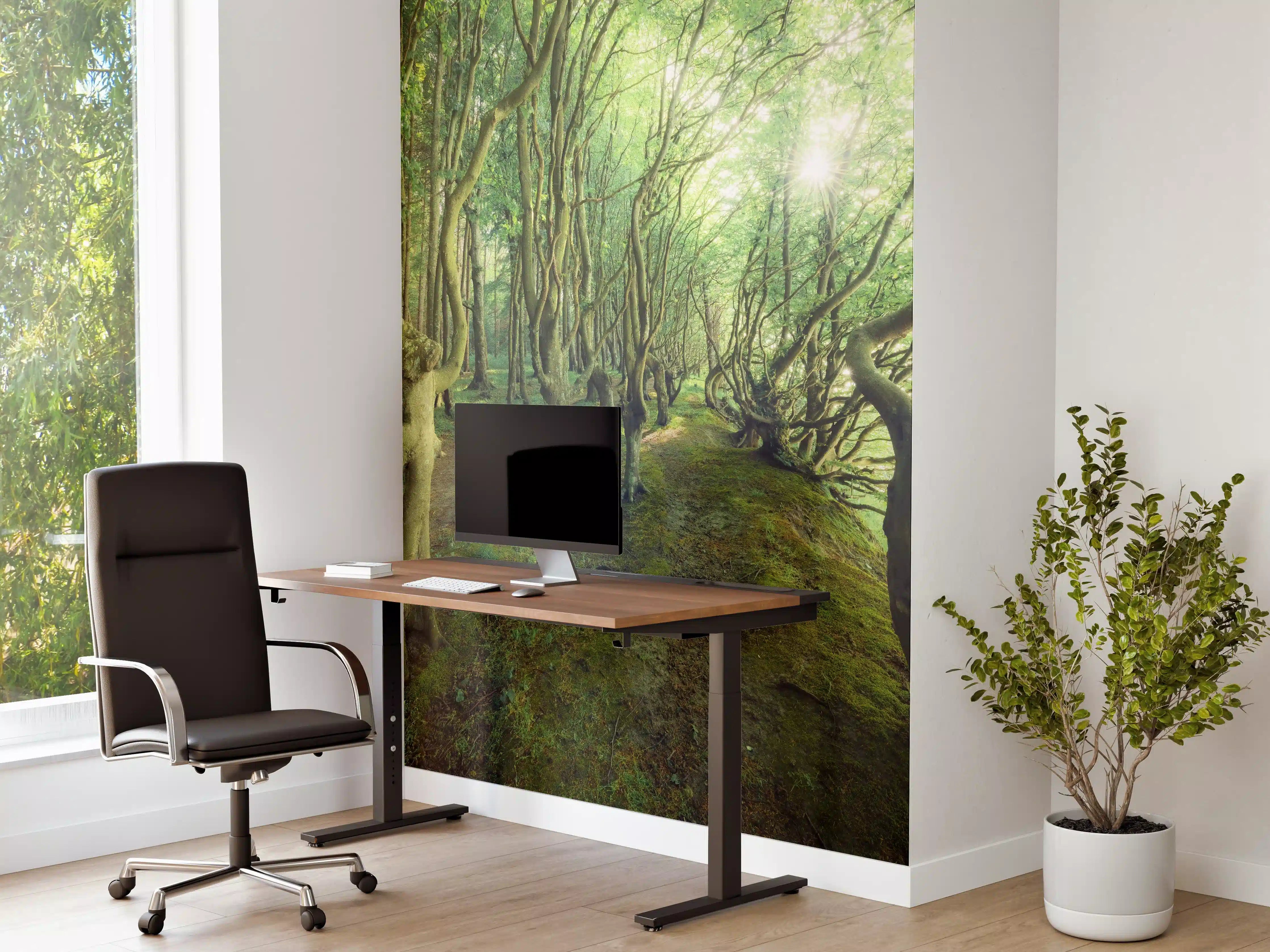 Büro Wandgestaltung - Crazy Lane