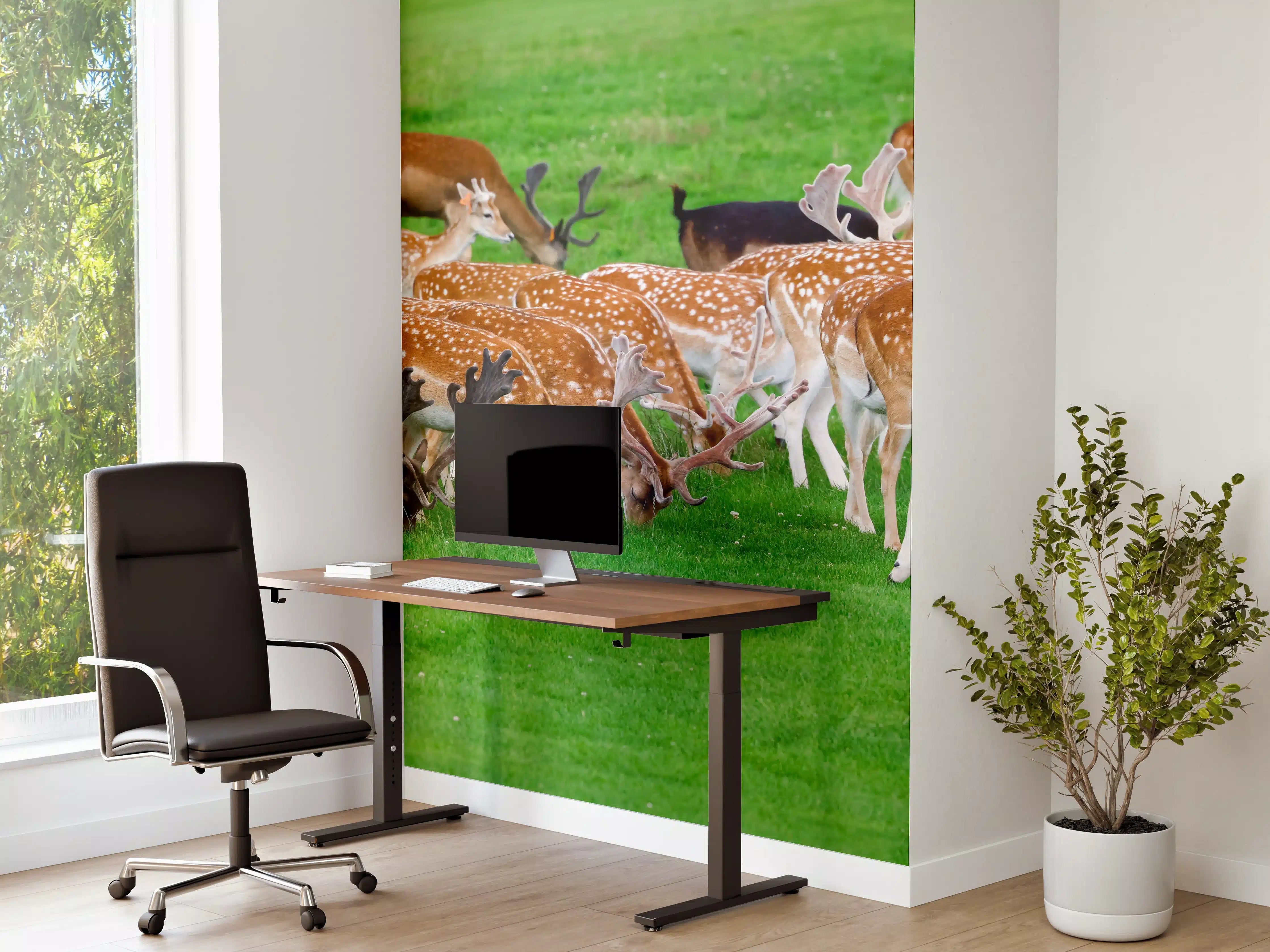 Büro Wandgestaltung - Damwild-Herde auf grüner Wiese
