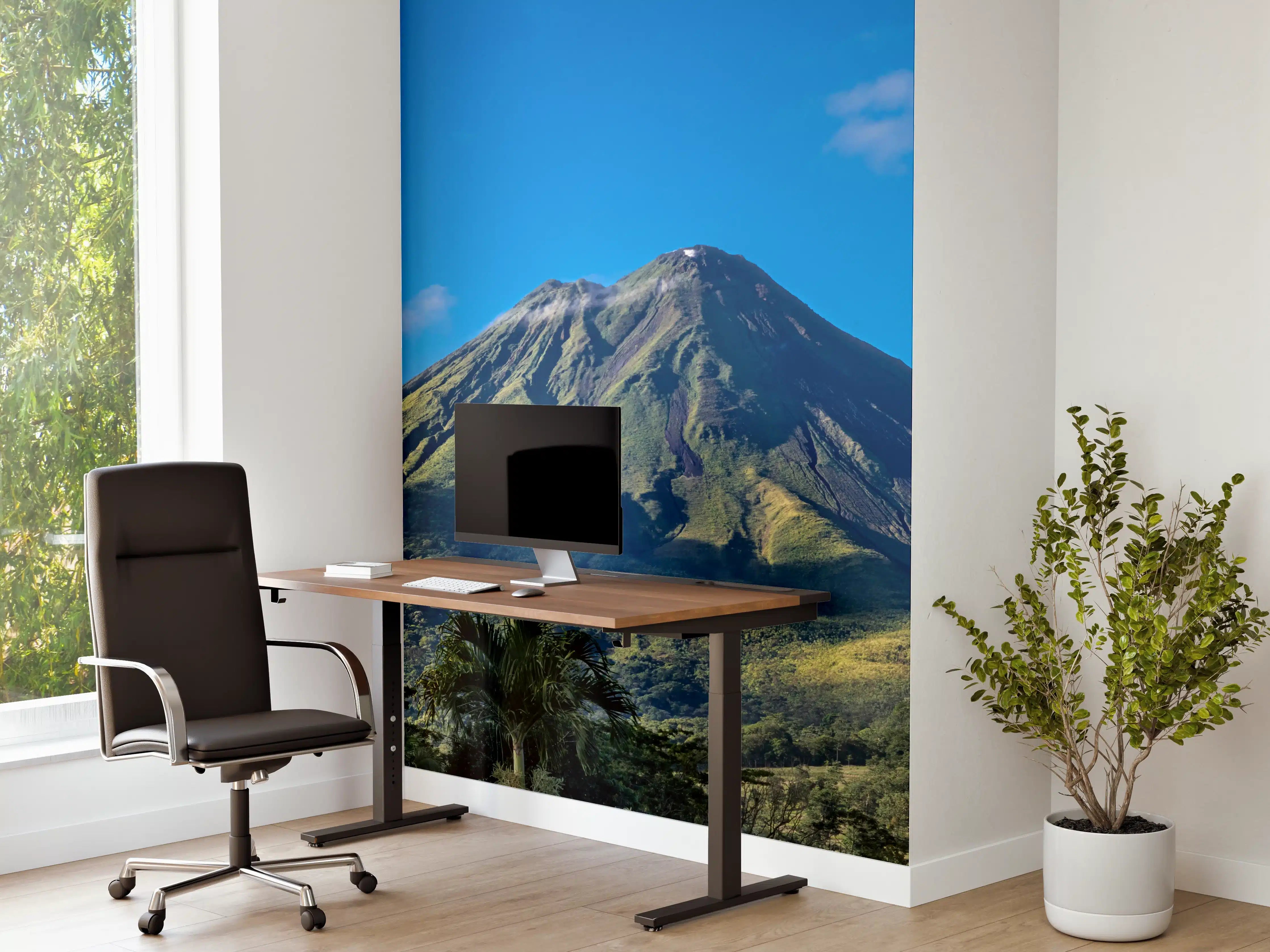 Büro Wandgestaltung - Der Vulkan Arenal - Costa Rica