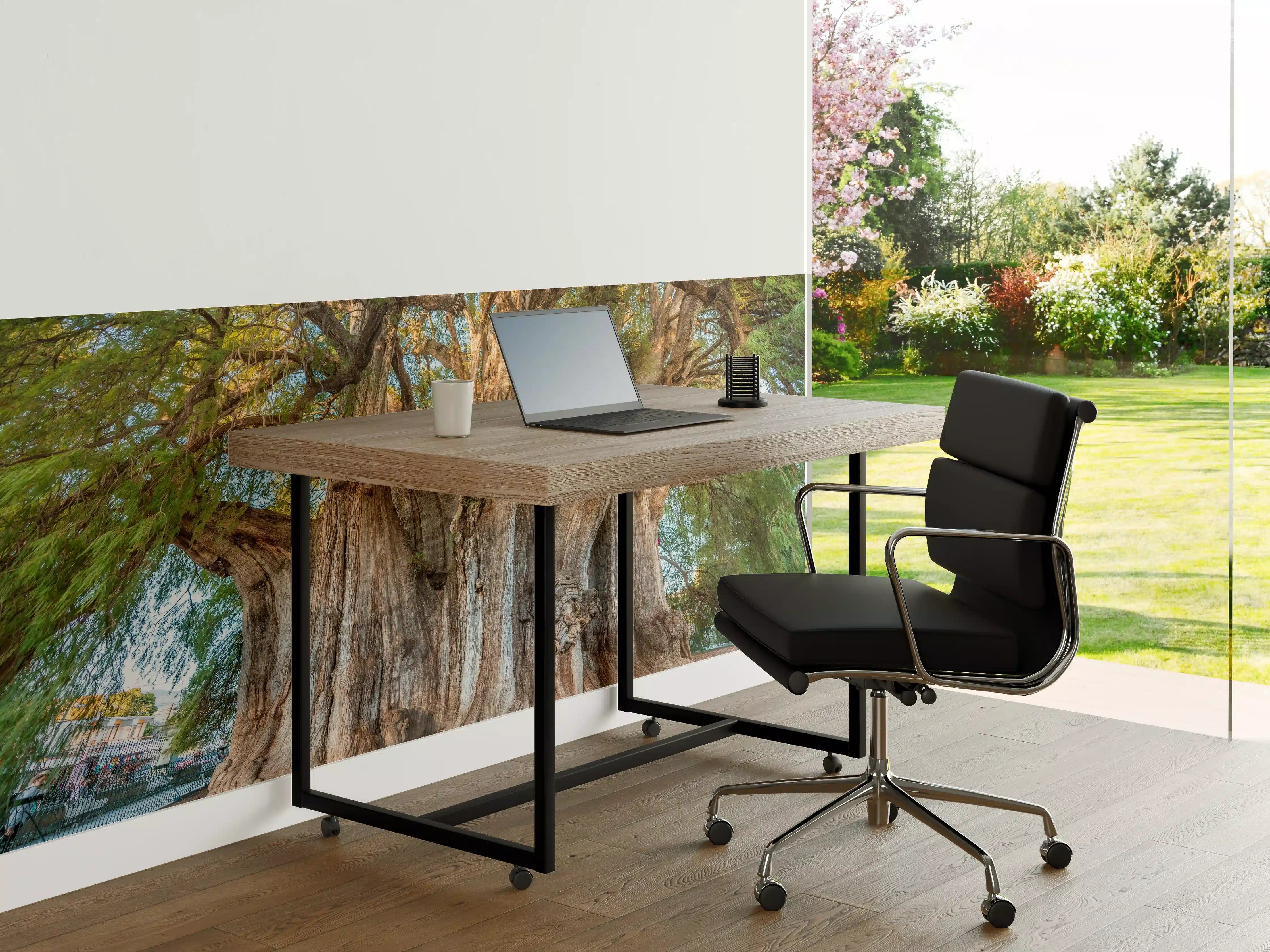 Büro Wandgestaltung - Der größte Baum der Welt - Mexico