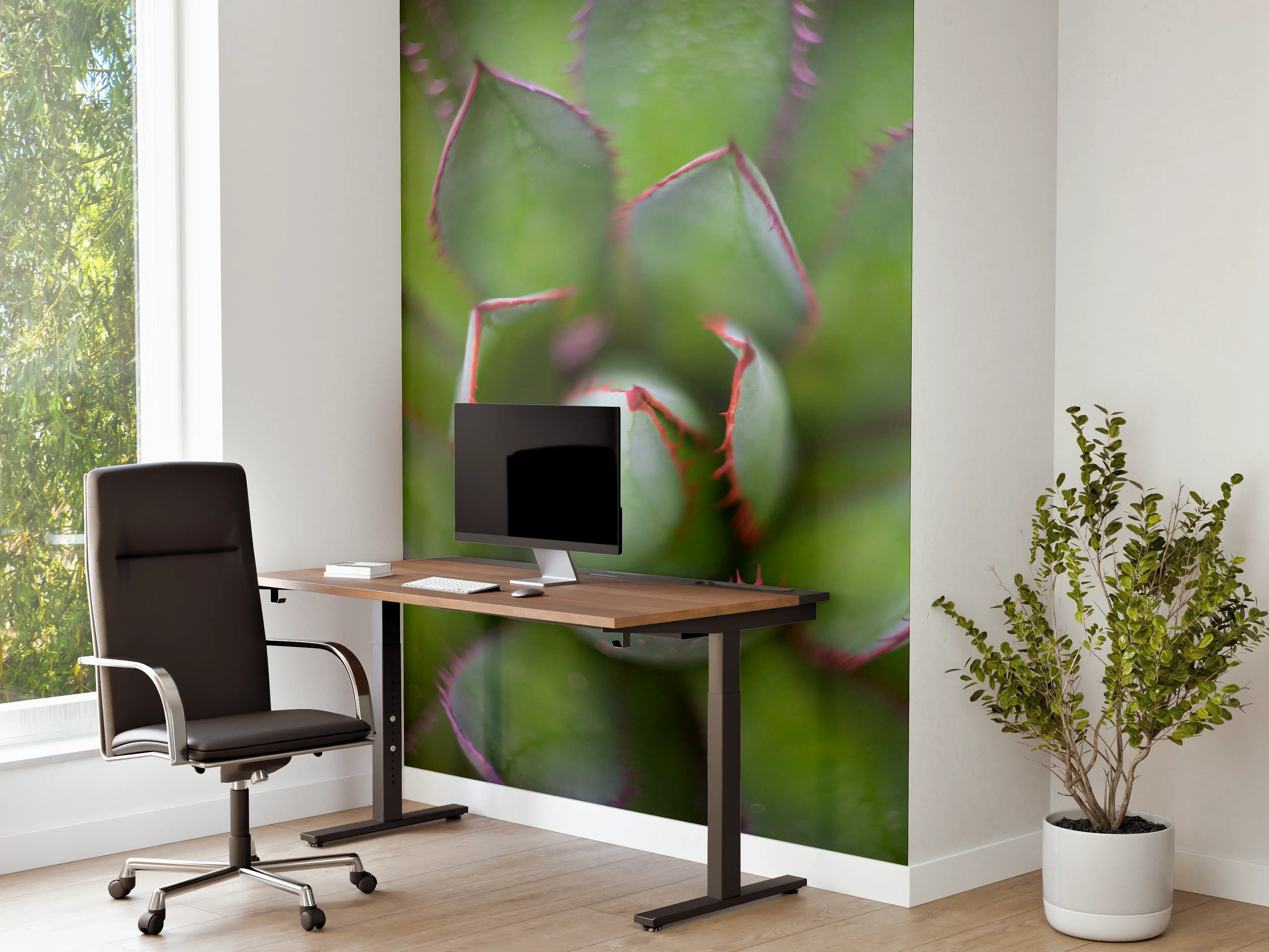 Büro Wandgestaltung - Detailreiche Grüne Agave Pflanze