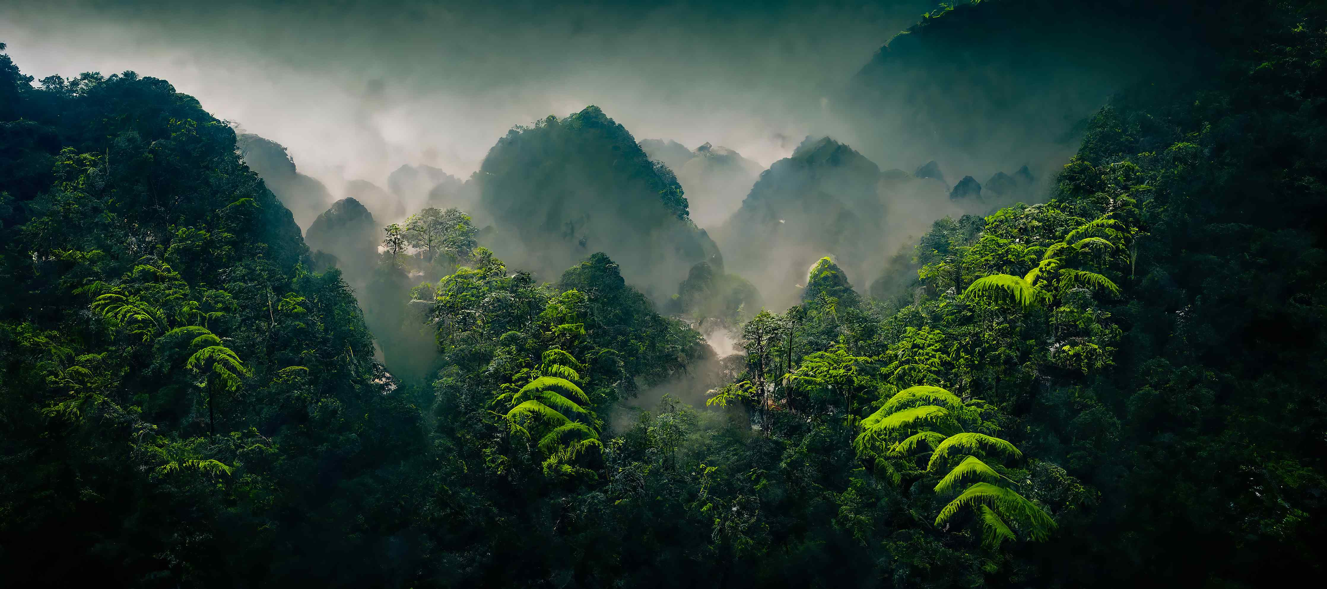 Büro Wandgestaltung-Dichte Dschungellandschaft mit Nebel