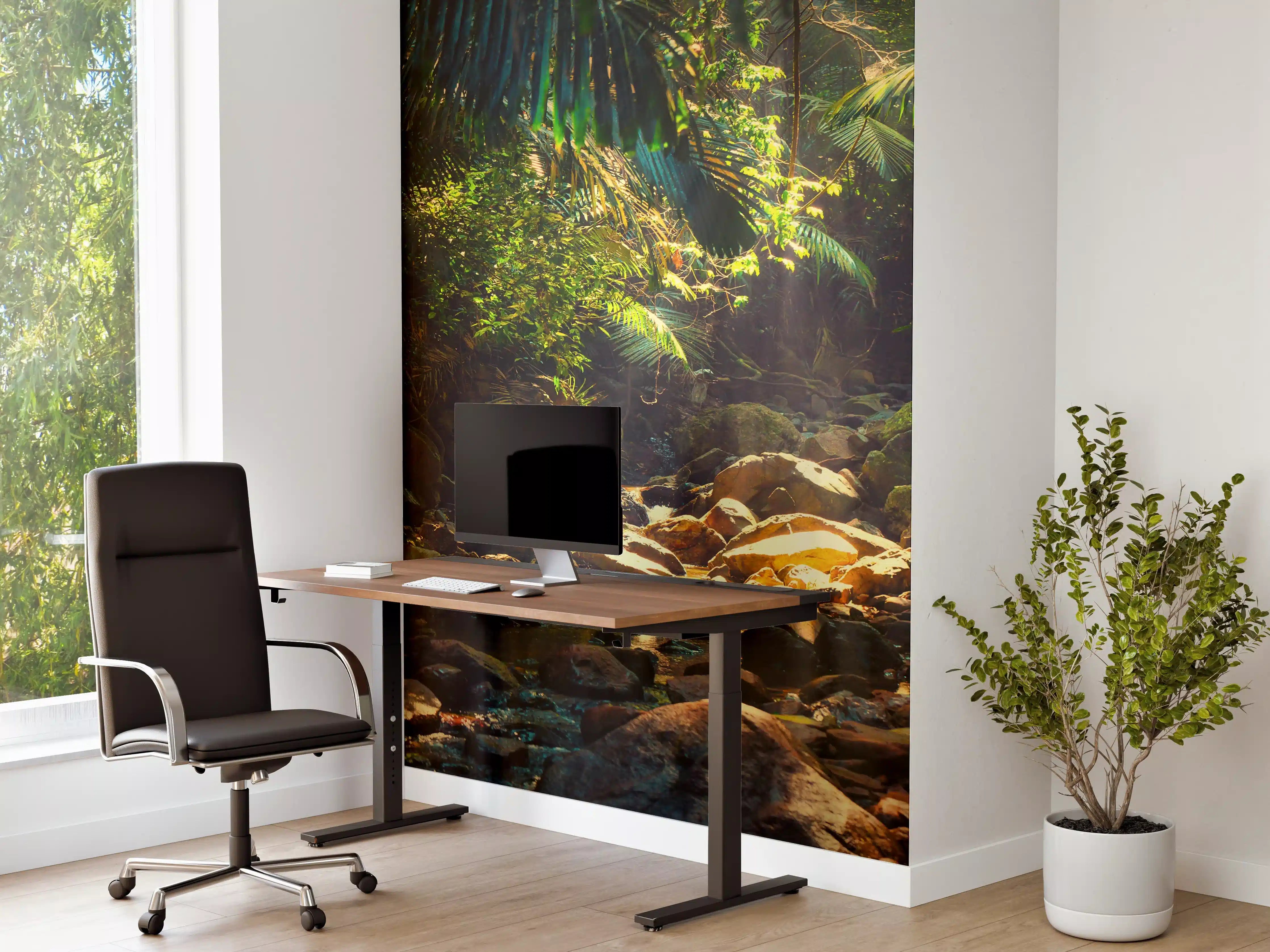 Büro Wandgestaltung - Dschungelpfad mit Sonnenlicht