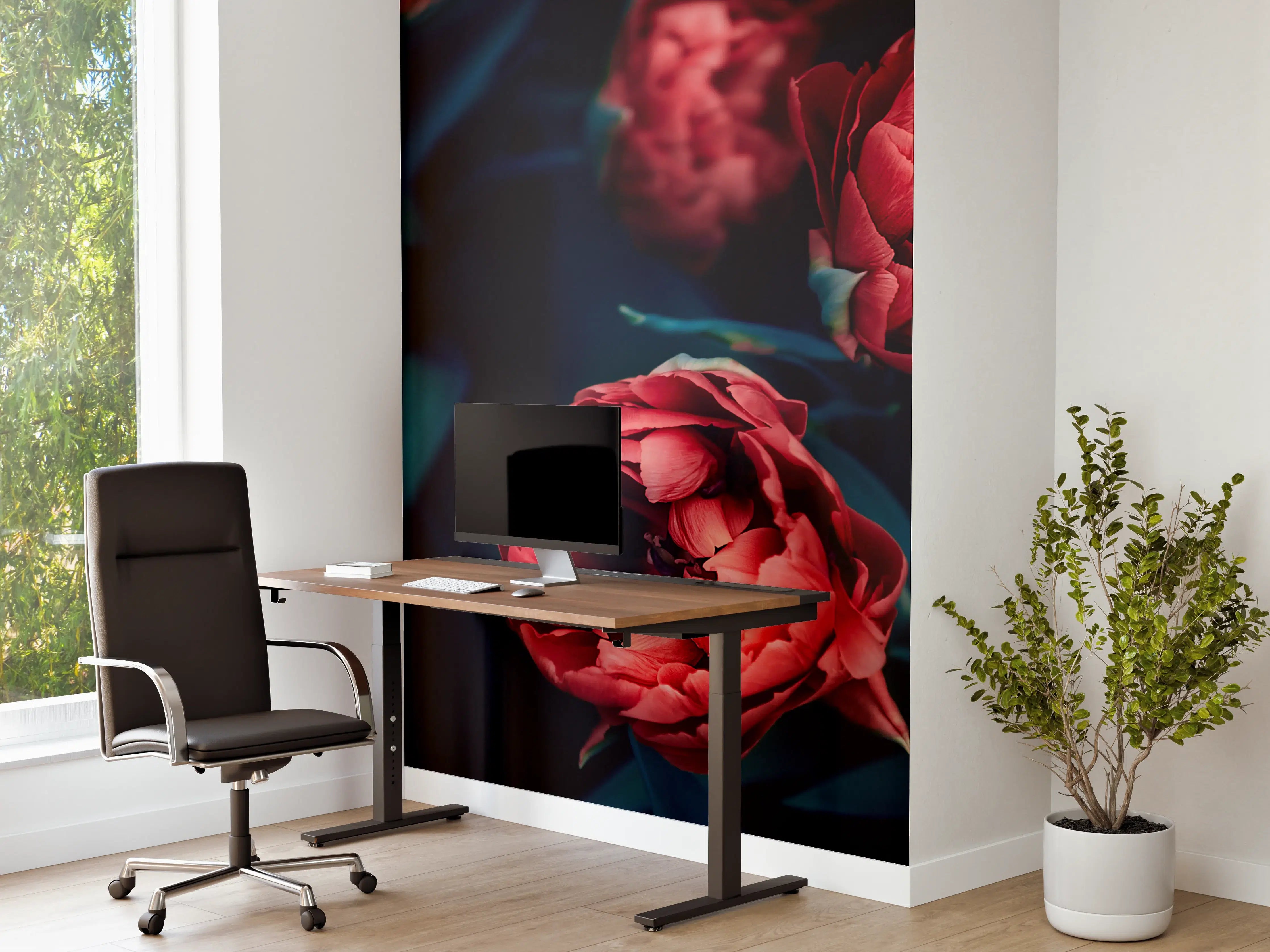Büro Wandgestaltung - Dunkle Rote Pfingstrosen mit dunklem Hintergrund