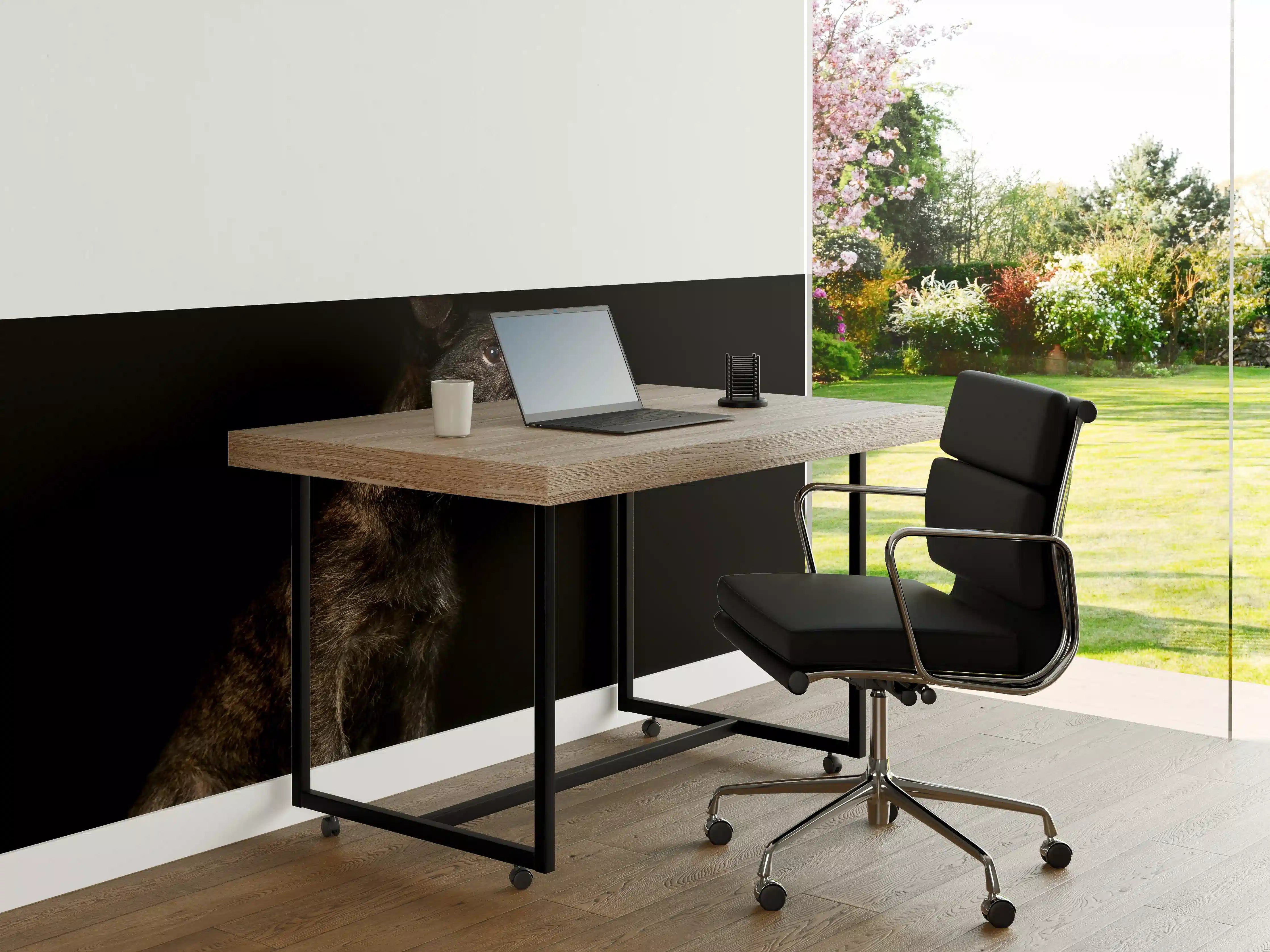 Büro Wandgestaltung - Dunkler Cairn Terrier Hund