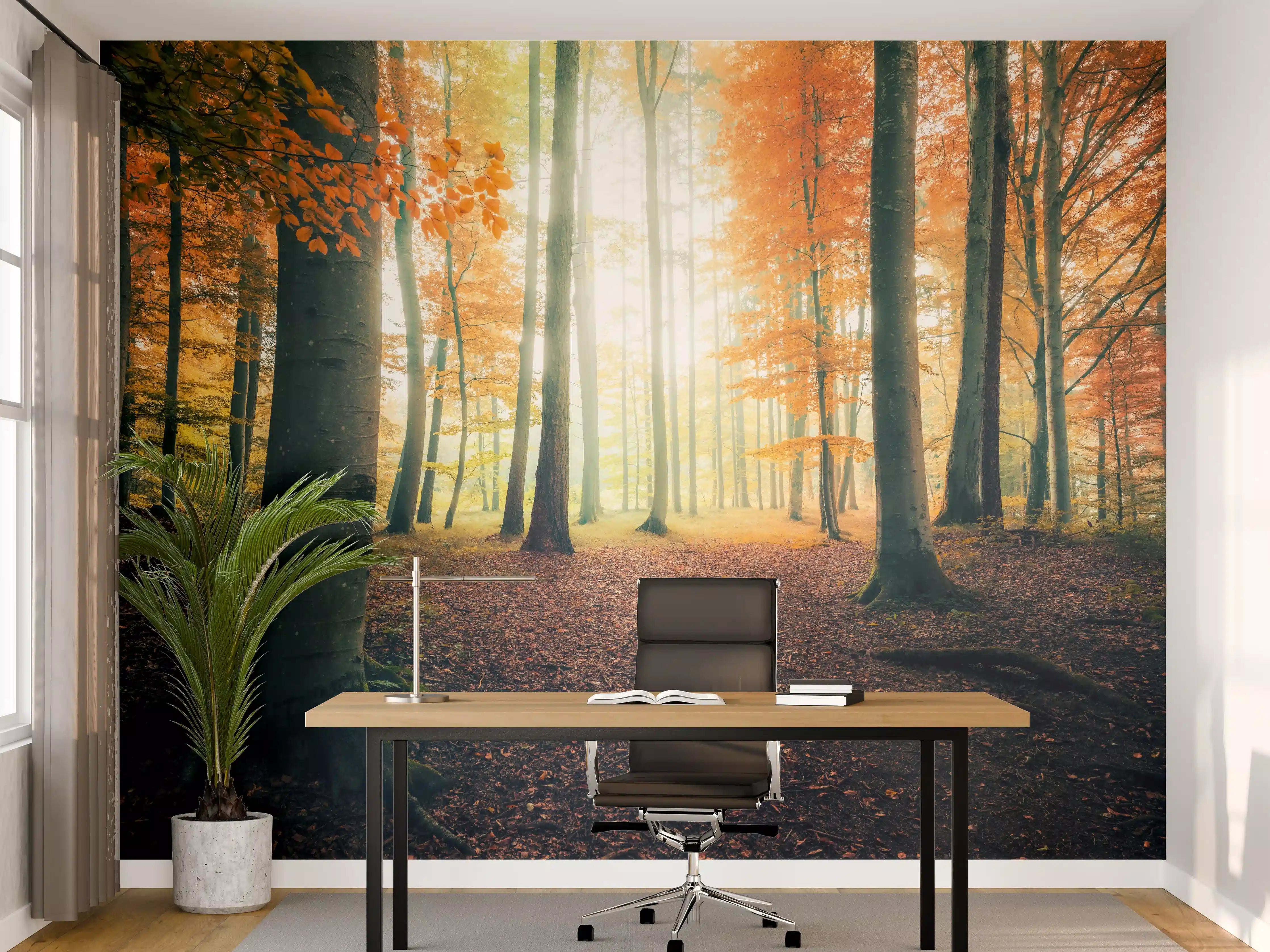 Büro Wandgestaltung - Dunkler Wald im Herbst