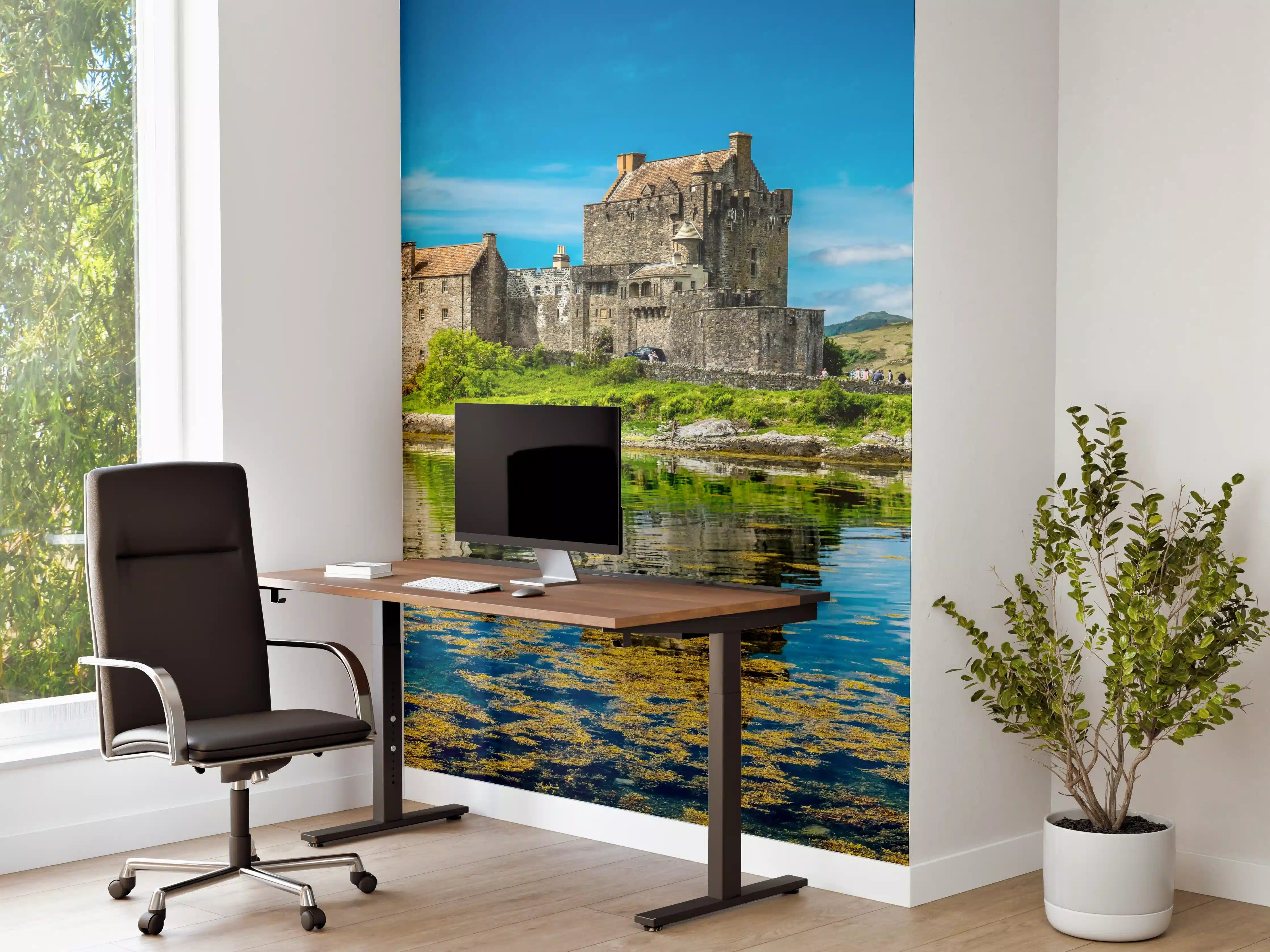 Büro Wandgestaltung - Eilean Donan Castle